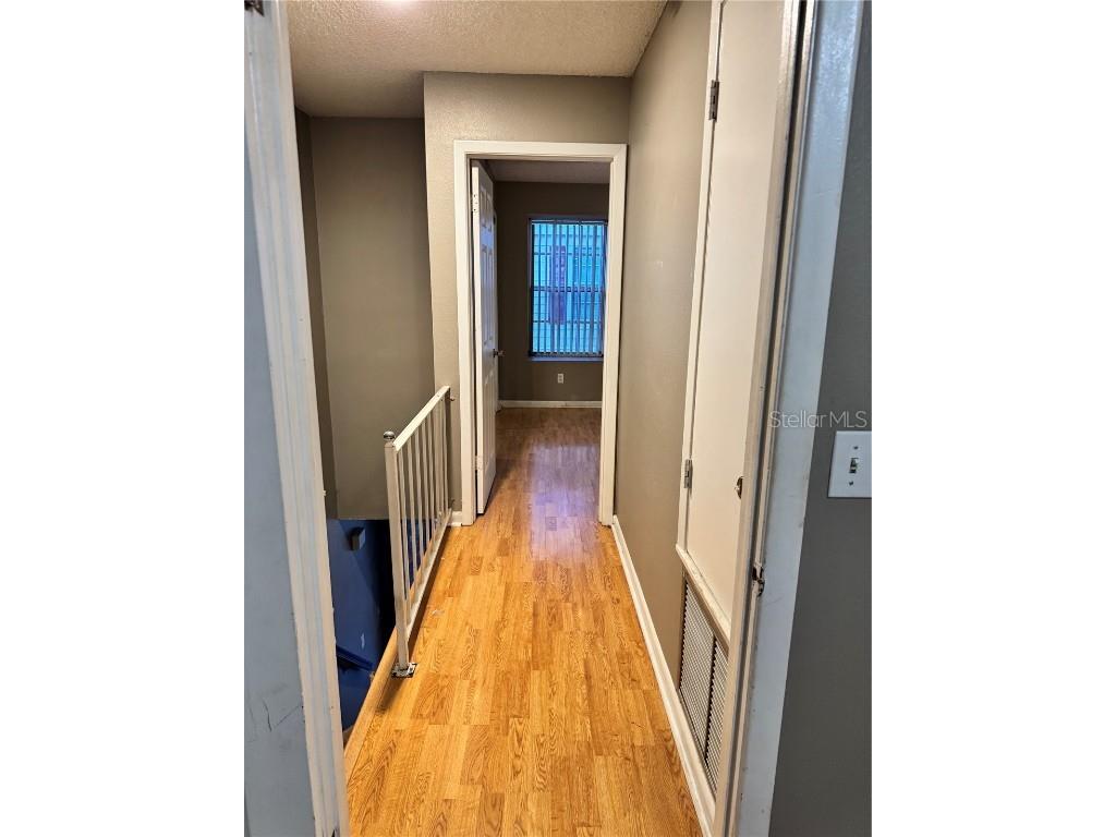 13917 Fletchers Mill Drive Tampa FL 33613 L4957499 image11