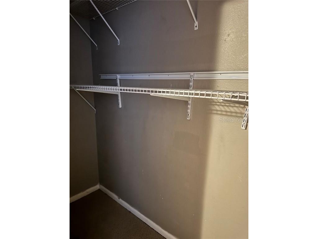 13917 Fletchers Mill Drive Tampa FL 33613 L4957499 image14