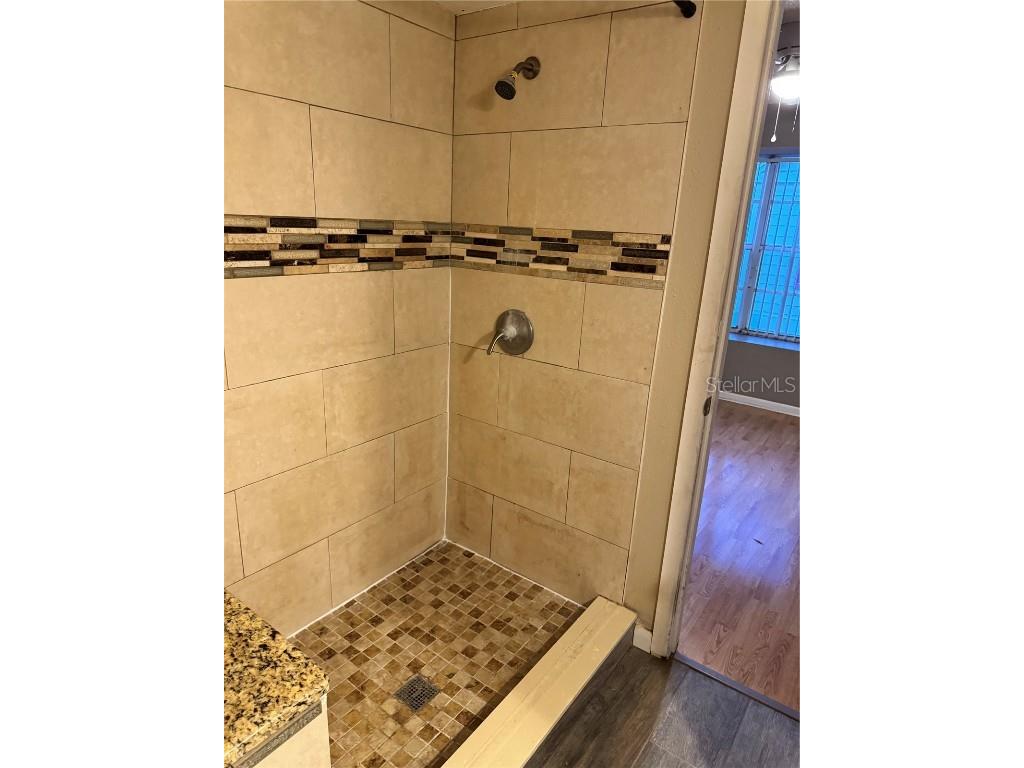 13917 Fletchers Mill Drive Tampa FL 33613 L4957499 image15