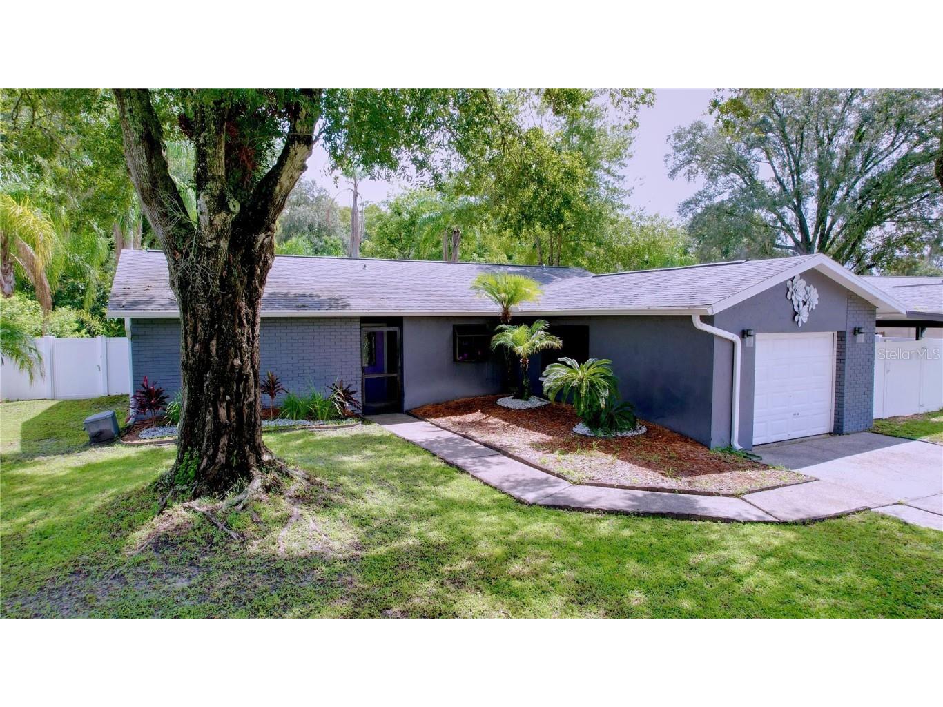 13917 Pathfinder Drive Tampa FL 33625 W7868138 image1