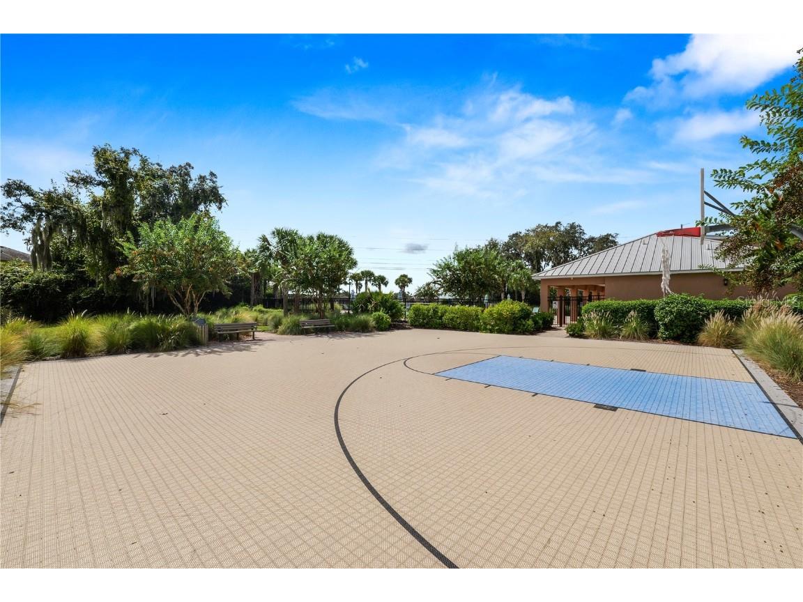 13917 Roseate Tern Lane Riverview FL 33579 TB8439286 image43