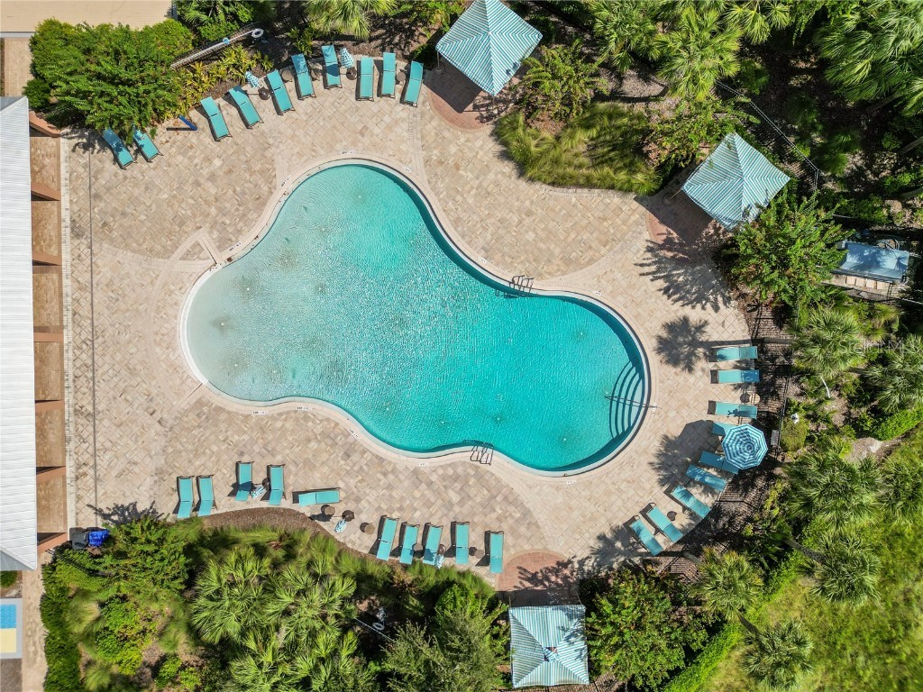 13917 Roseate Tern Lane Riverview FL 33579 TB8439286 image45