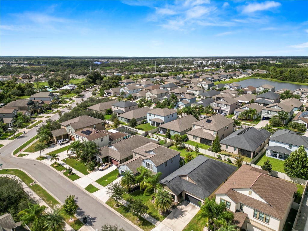 13917 Roseate Tern Lane Riverview FL 33579 TB8439286 image47