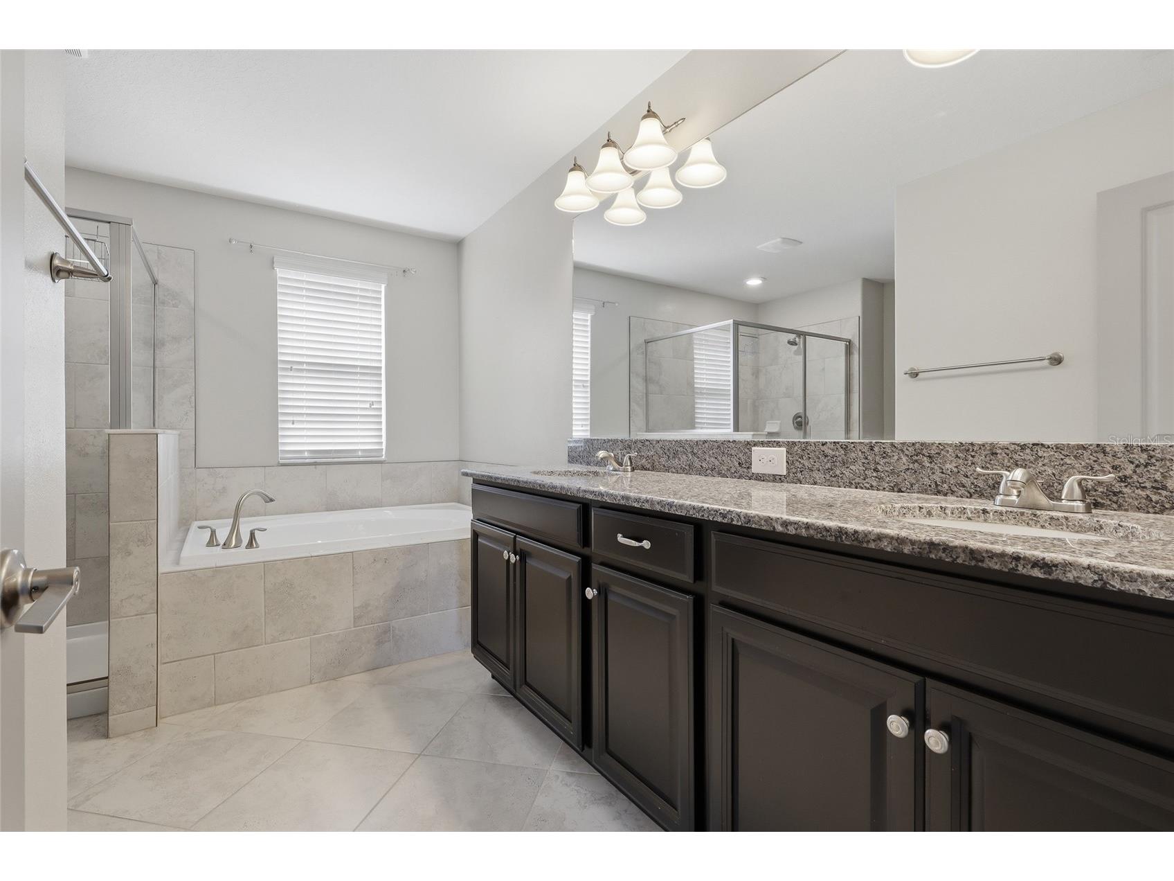 13917 Roseate Tern Lane Riverview FL 33579 TB8508930 image29