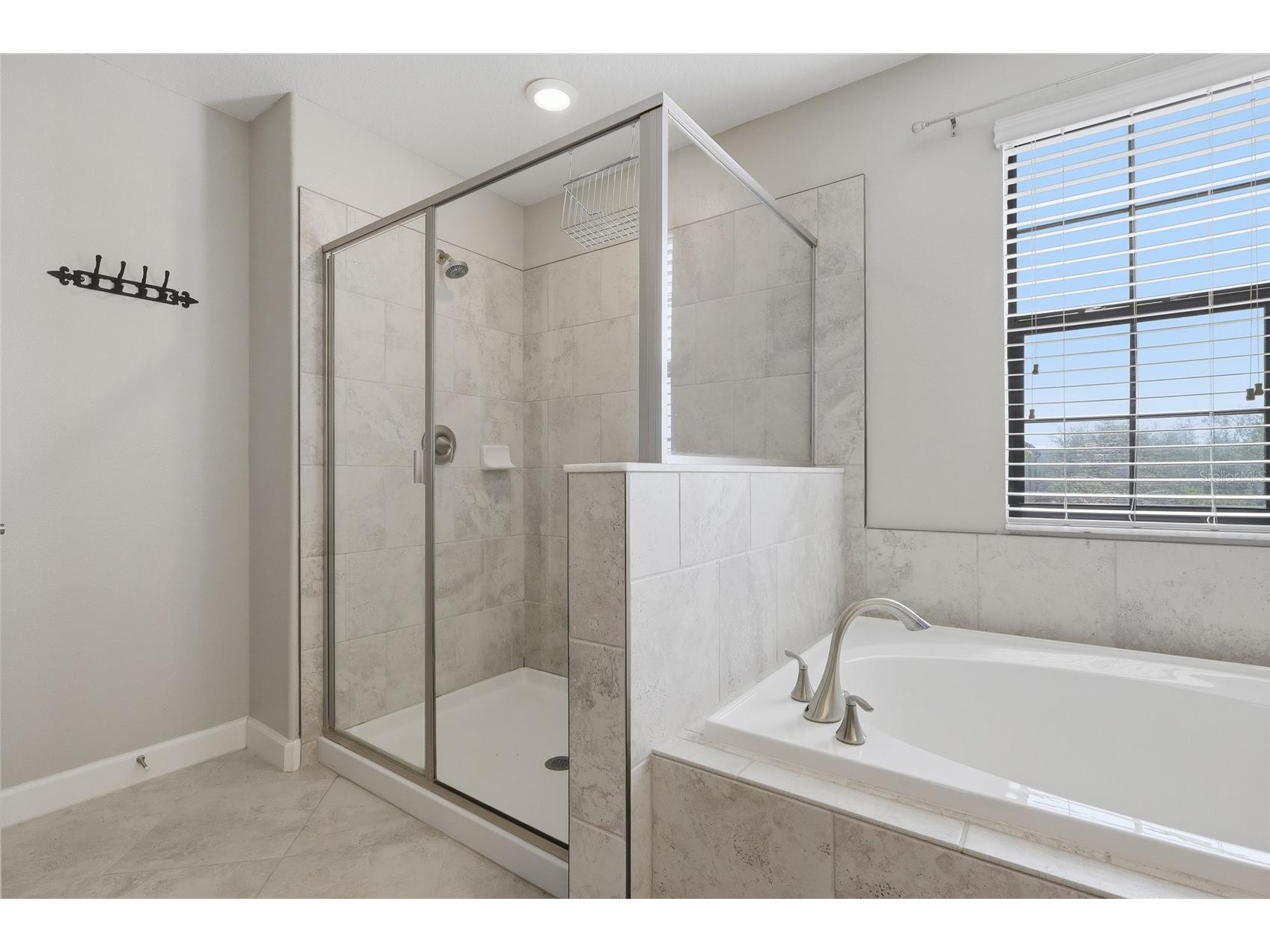 13917 Roseate Tern Lane Riverview FL 33579 TB8508930 image30