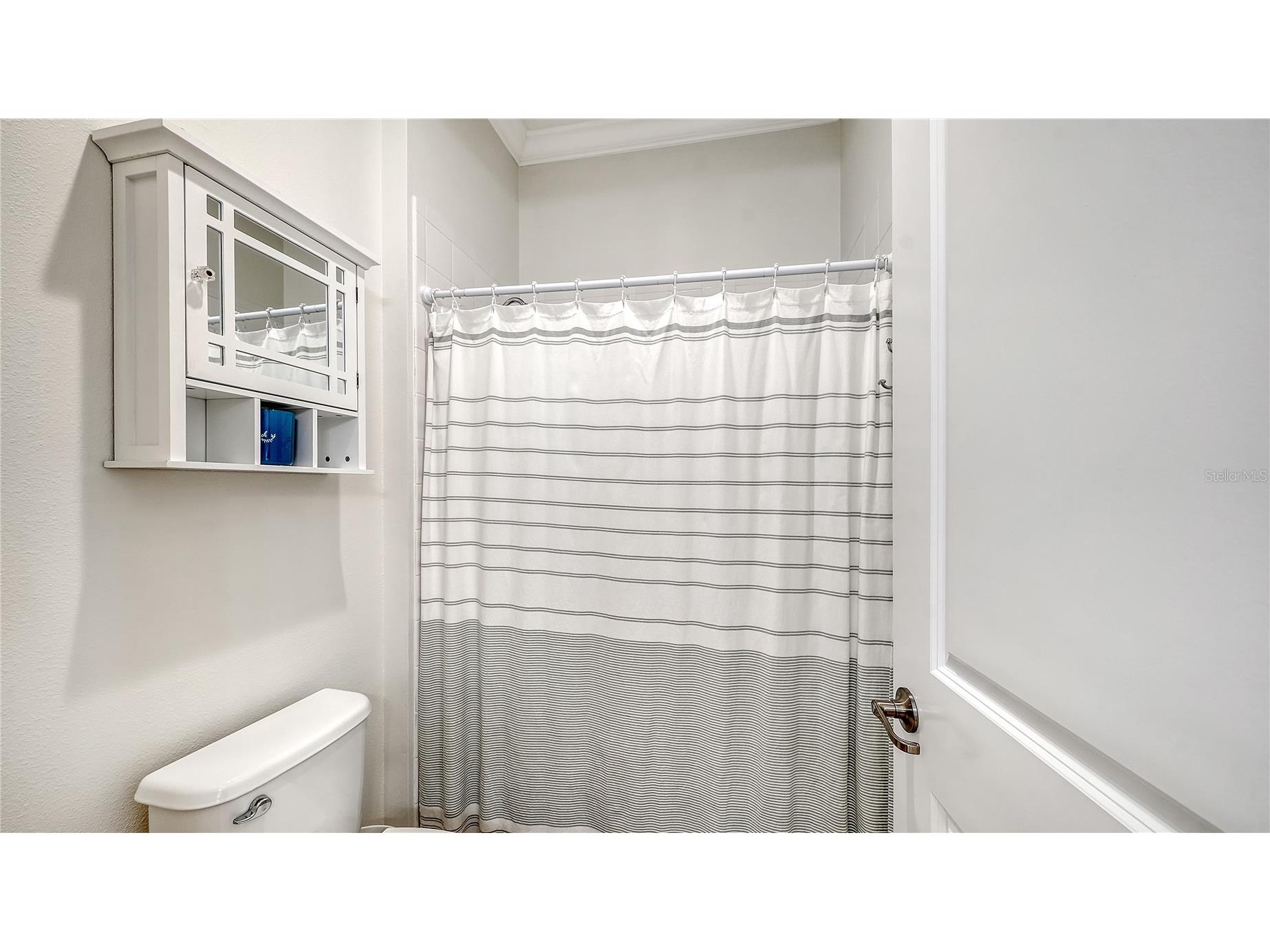 13918 Old Creek Court Parrish FL 34219 A4690617 image25
