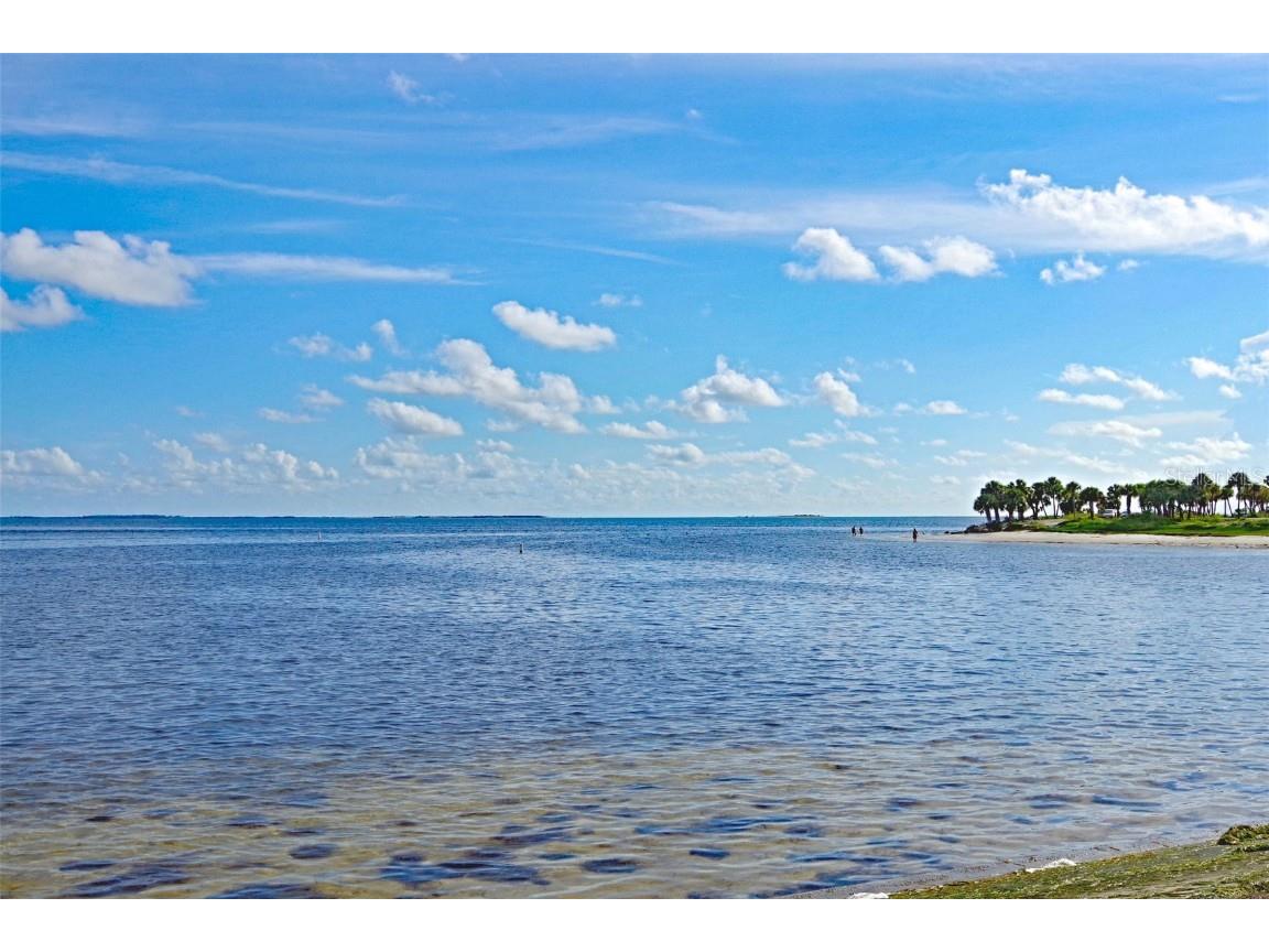 13920 Berkowitz Avenue Hudson FL 34667 TB8443059 image30