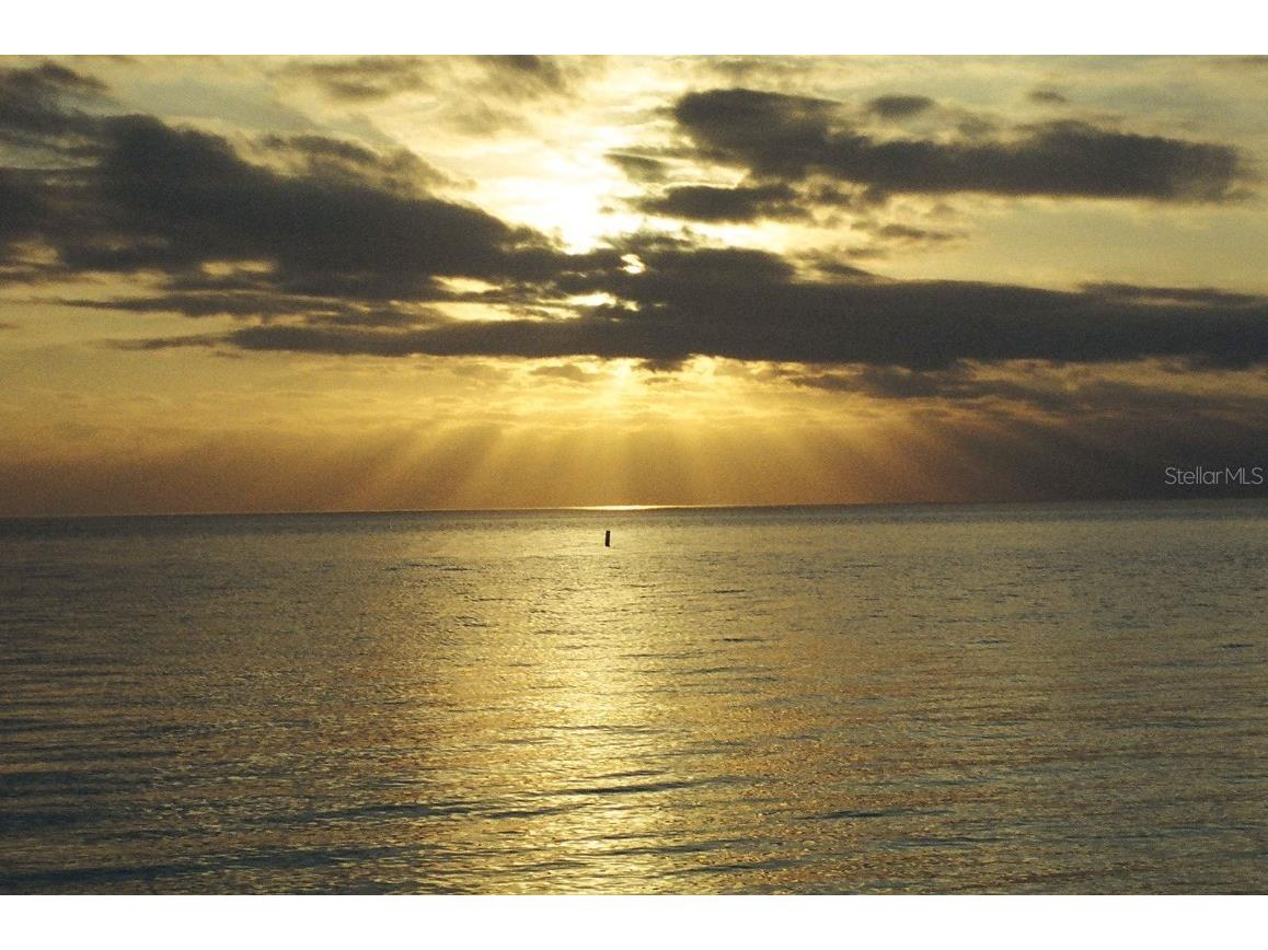 13920 Berkowitz Avenue Hudson FL 34667 TB8443059 image32