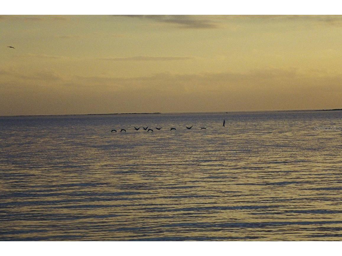 13920 Berkowitz Avenue Hudson FL 34667 TB8443059 image33