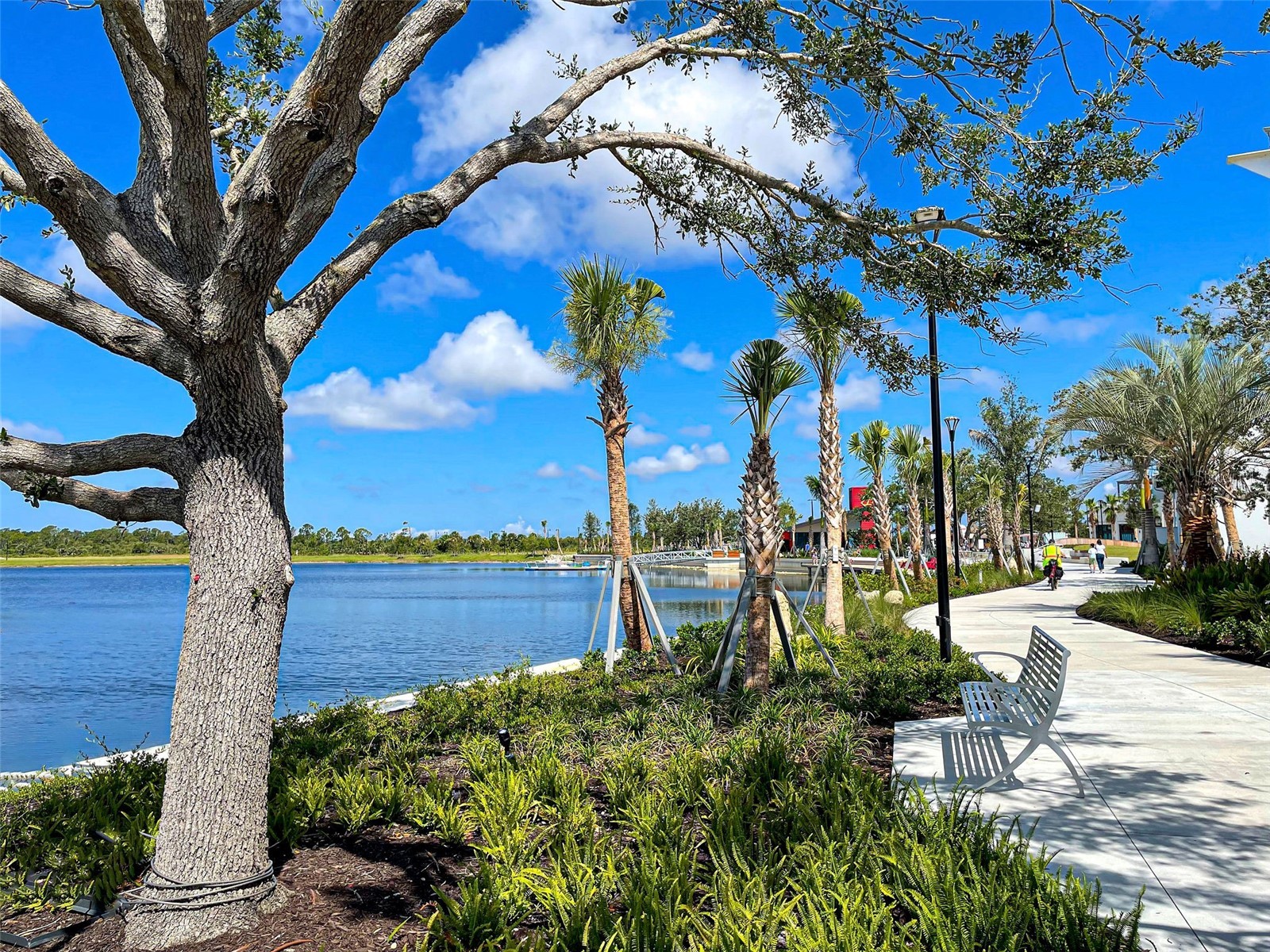 13920 Campoleone Street Venice FL 34293 N6144395 image77