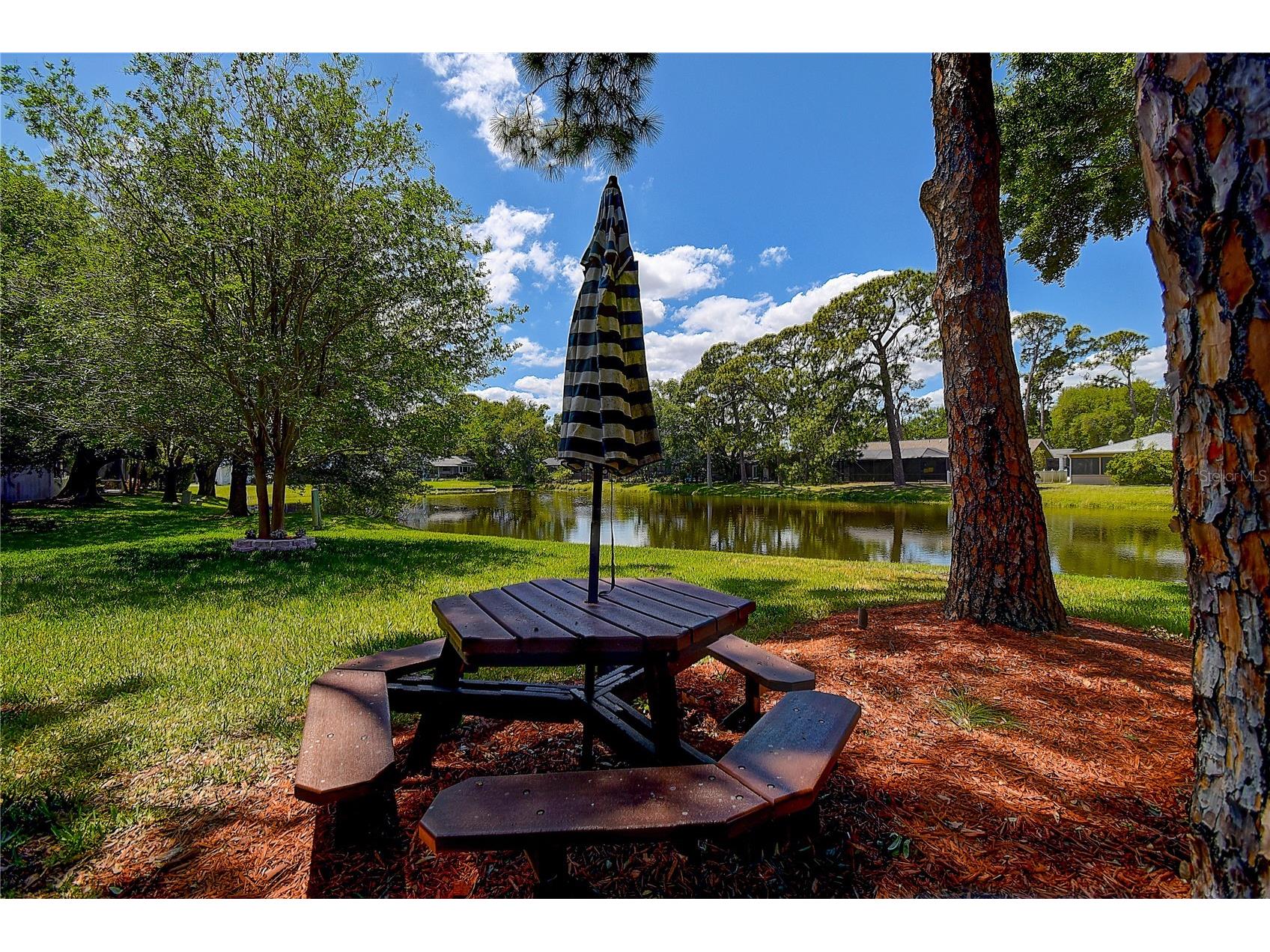 13920 Egret Lane Clearwater FL 33762 TB8496735 image36