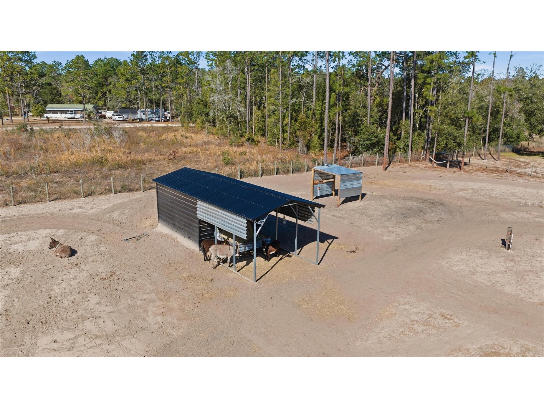 13920 NE 6th Street Williston FL 32696 OM717155 image13