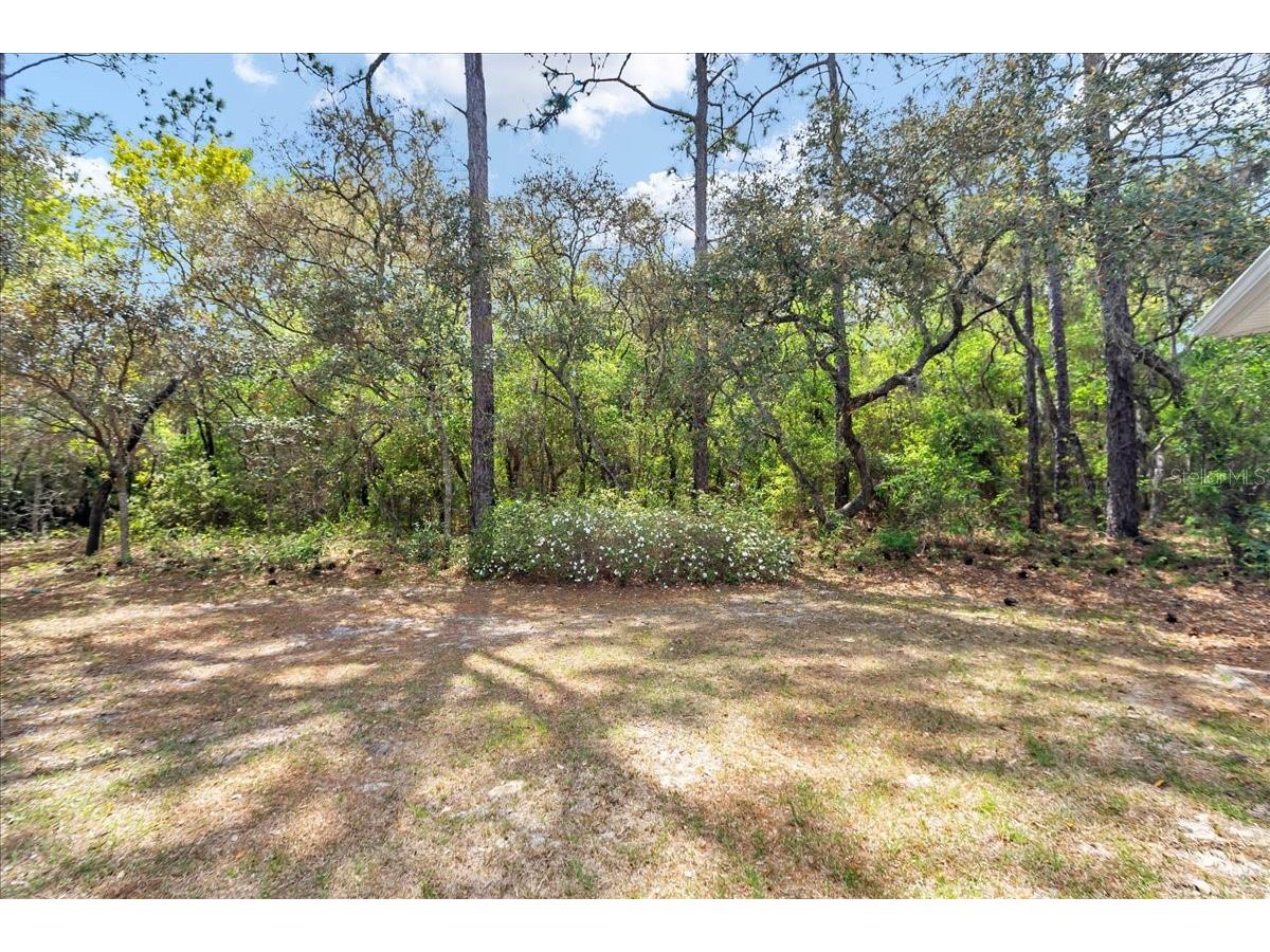 13920 SW 85 Place Dunnellon FL 34432 OM722046 image51