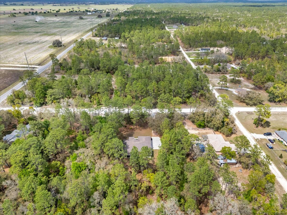 13920 SW 85 Place Dunnellon FL 34432 OM722046 image53