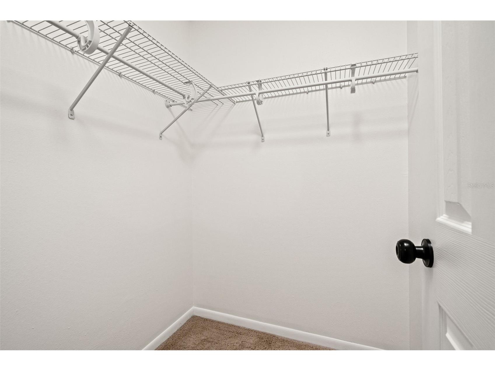 13922 Briardale Lane Tampa FL 33618 TB8487523 image17