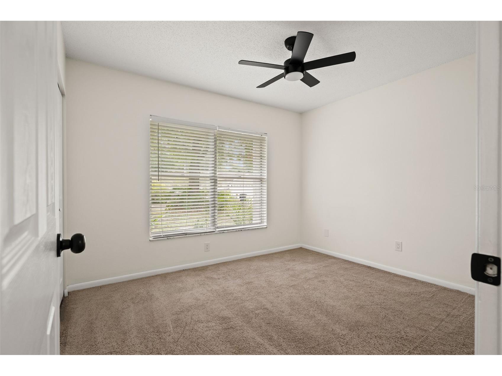 13922 Briardale Lane Tampa FL 33618 TB8487523 image20