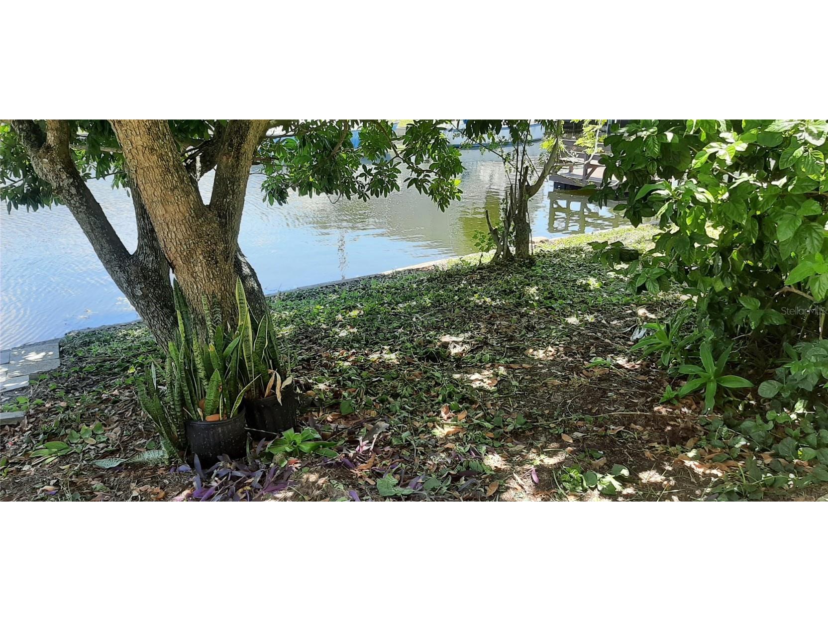 13922 Raie Avenue Hudson FL 34667 - GULF OF AMERICA TB8418825 image56