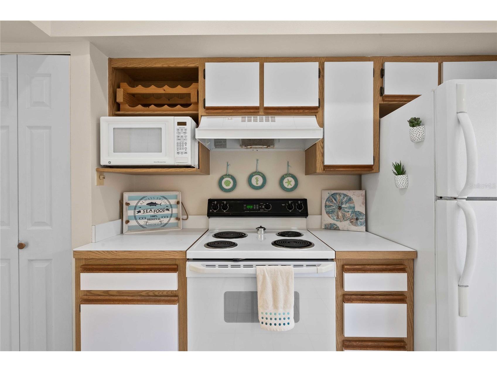 13927 Curley Road Dade City FL 33525 TB8429787 image22