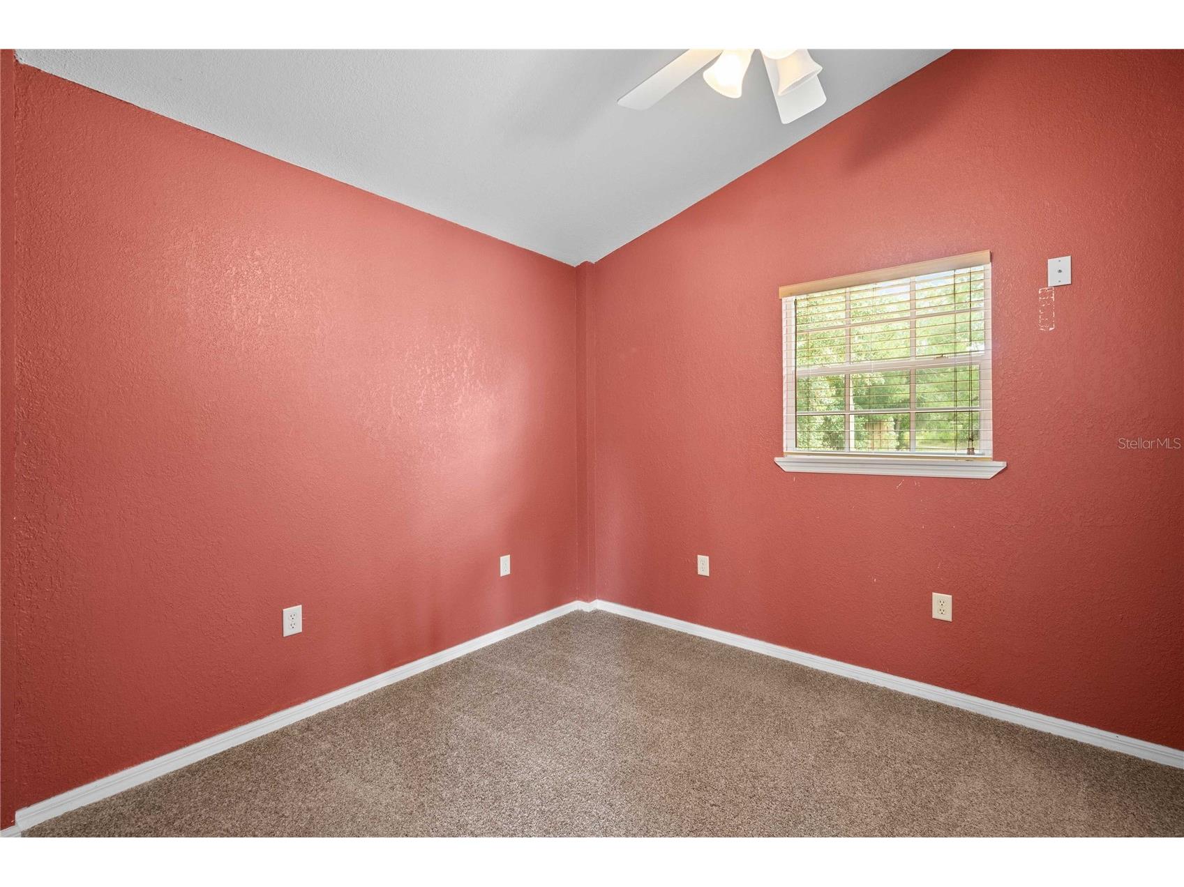 13927 Curley Road Dade City FL 33525 TB8429787 image45