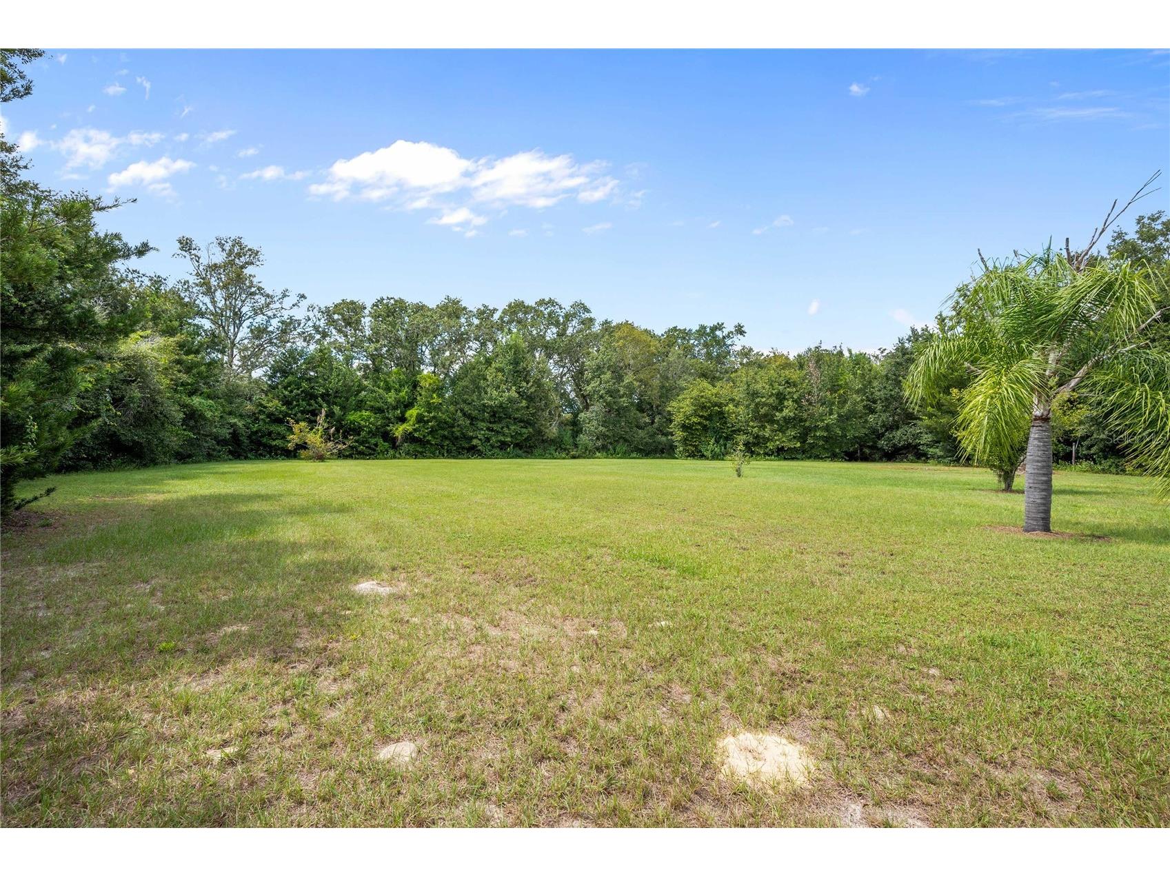 13927 Curley Road Dade City FL 33525 TB8429787 image47