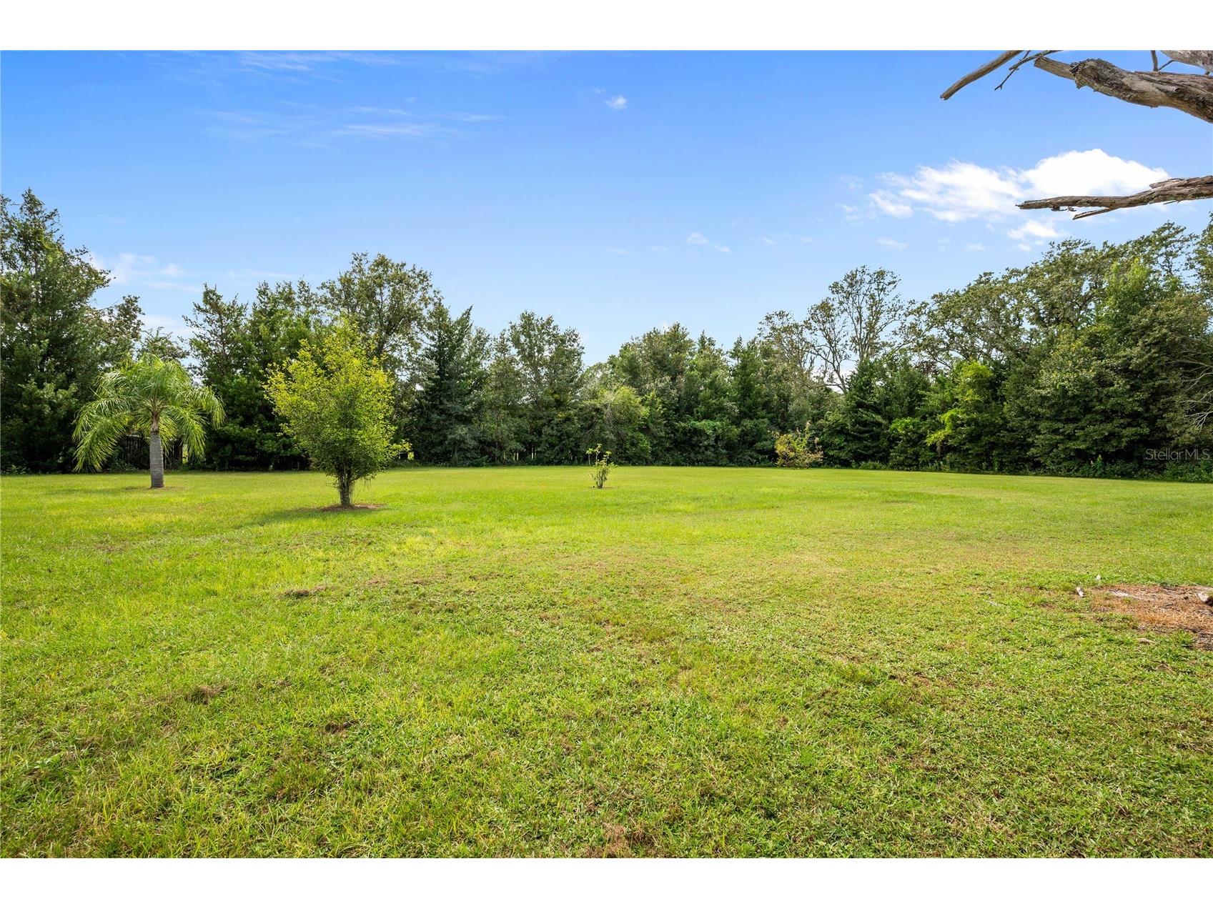 13927 Curley Road Dade City FL 33525 TB8429787 image65