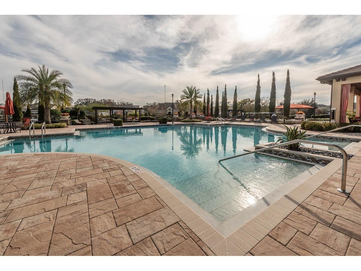 13928 Natures Reserve Drive Lithia FL 33547 TB8490853 image41