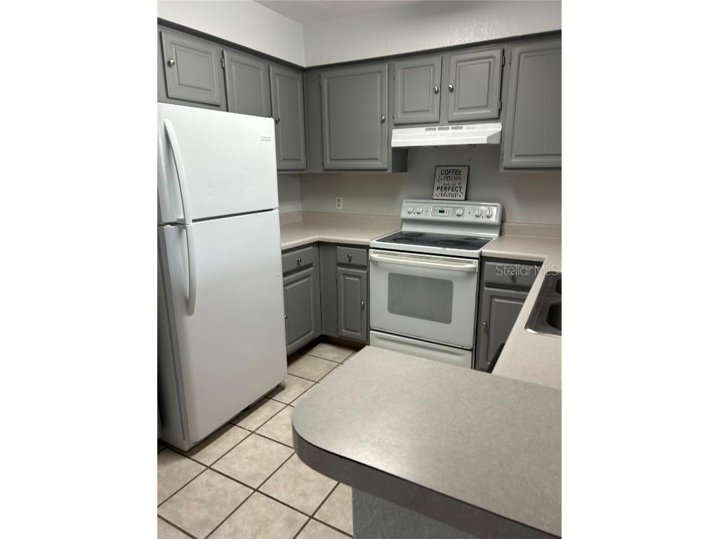 13929 Fairway Island Drive #833 Orlando FL 32837 S5130034 image7