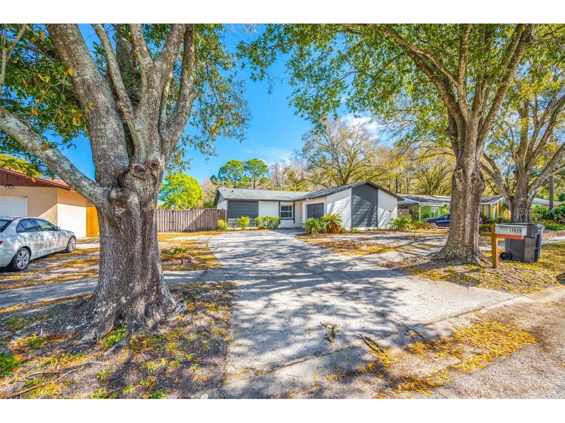13929 Pathfinder Drive Tampa FL 33625 T3504969 image1