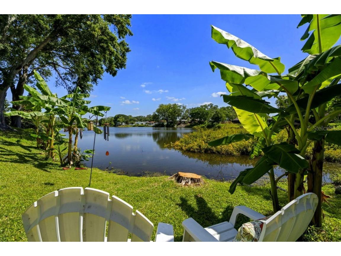 1393 Chesterfield Drive Dunedin FL 34698 - SCOTS LAKE TB8435868 image1