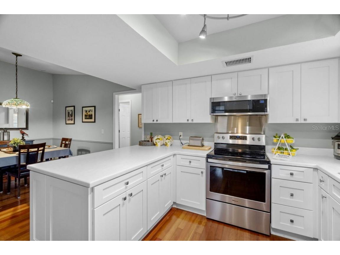 1393 Chesterfield Drive Dunedin FL 34698 - SCOTS LAKE TB8435868 image12