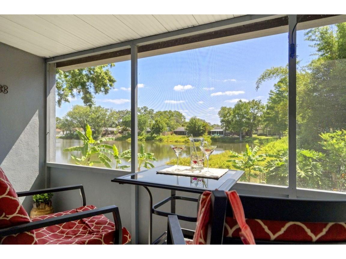 1393 Chesterfield Drive Dunedin FL 34698 - SCOTS LAKE TB8435868 image28