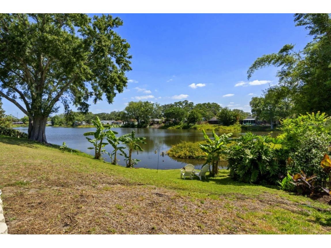 1393 Chesterfield Drive Dunedin FL 34698 - SCOTS LAKE TB8435868 image30
