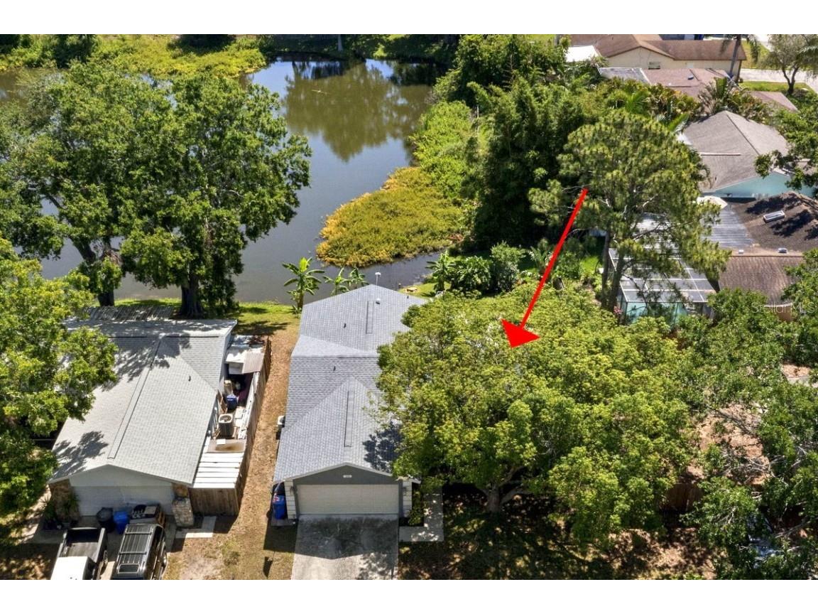 1393 Chesterfield Drive Dunedin FL 34698 - SCOTS LAKE TB8435868 image37