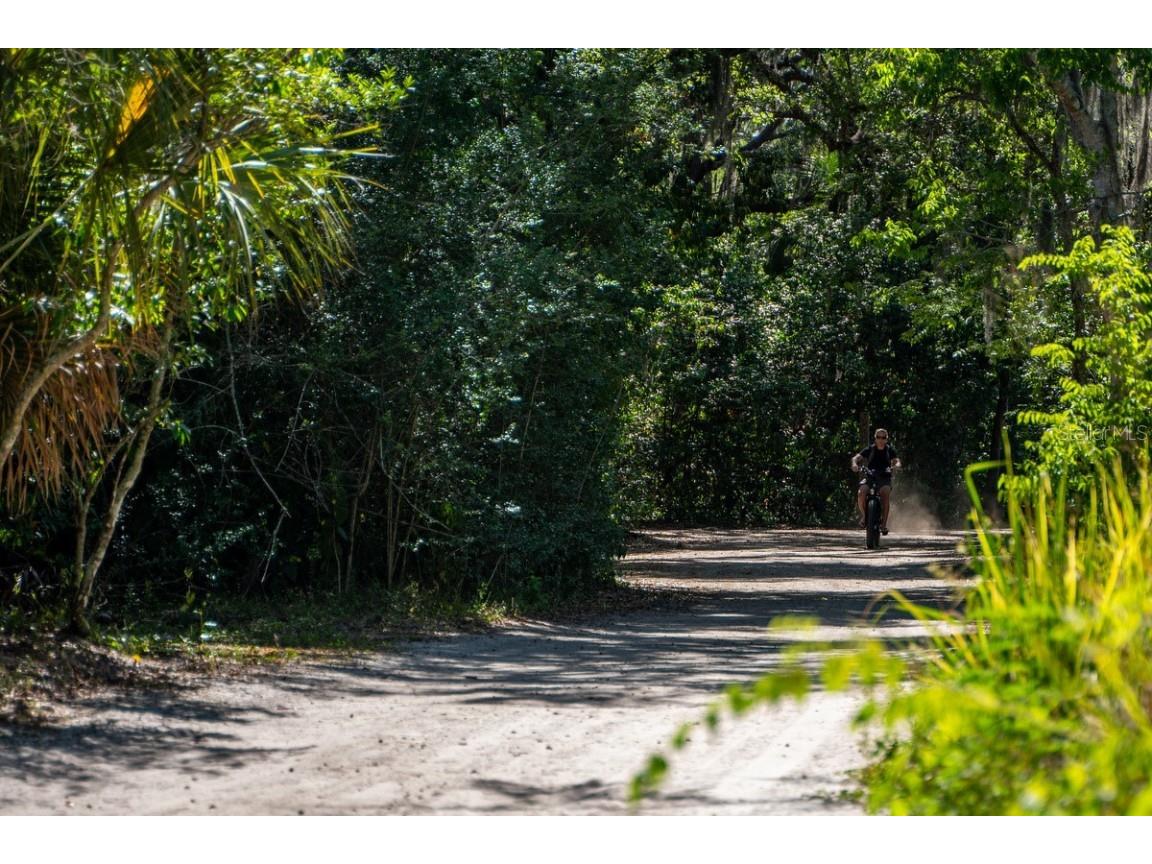 1393 Chesterfield Drive Dunedin FL 34698 - SCOTS LAKE TB8435868 image46