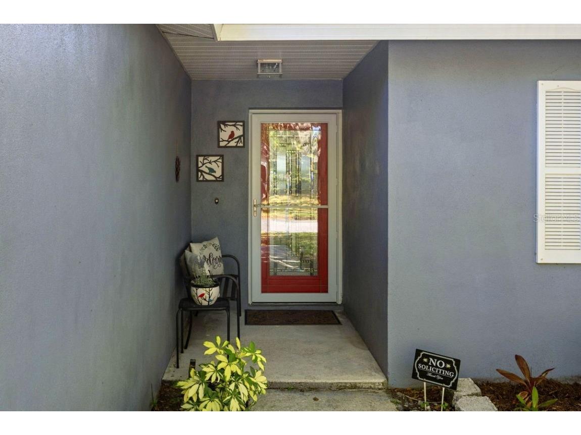 1393 Chesterfield Drive Dunedin FL 34698 - SCOTS LAKE TB8435868 image5