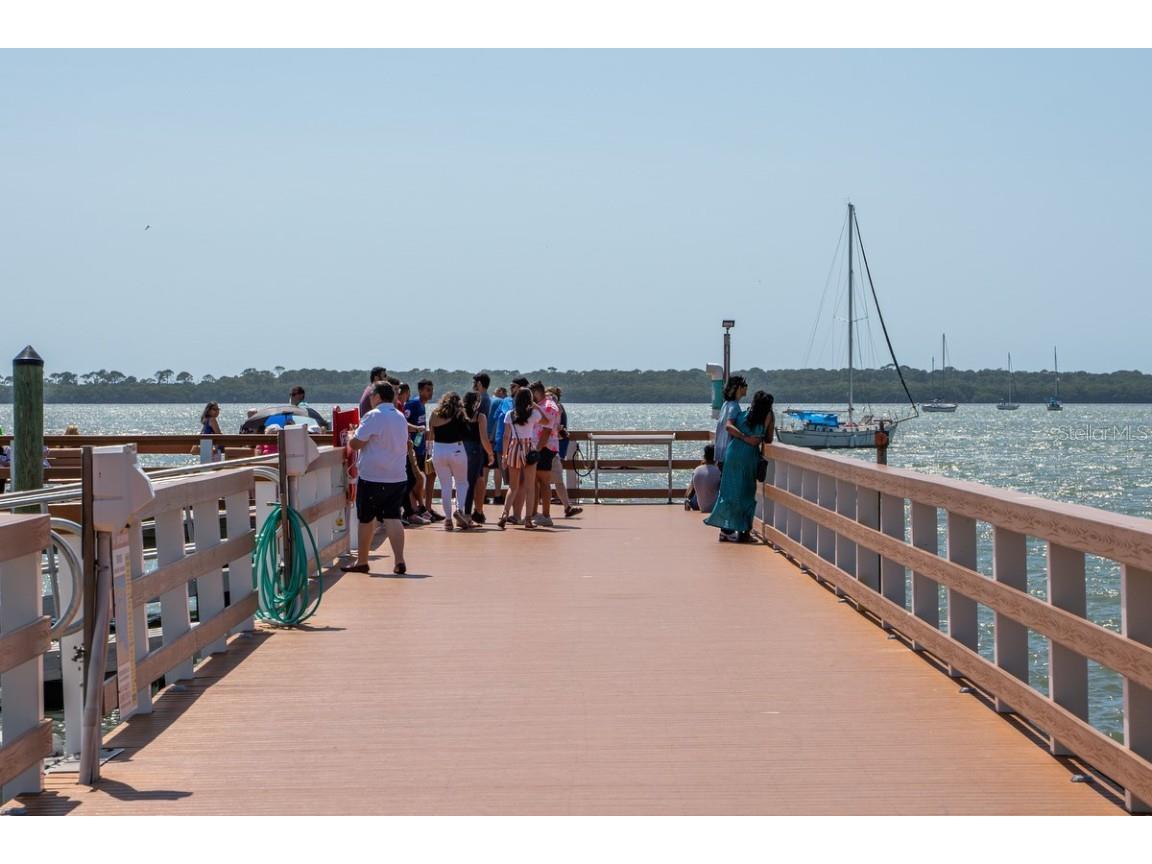 1393 Chesterfield Drive Dunedin FL 34698 - SCOTS LAKE TB8435868 image56