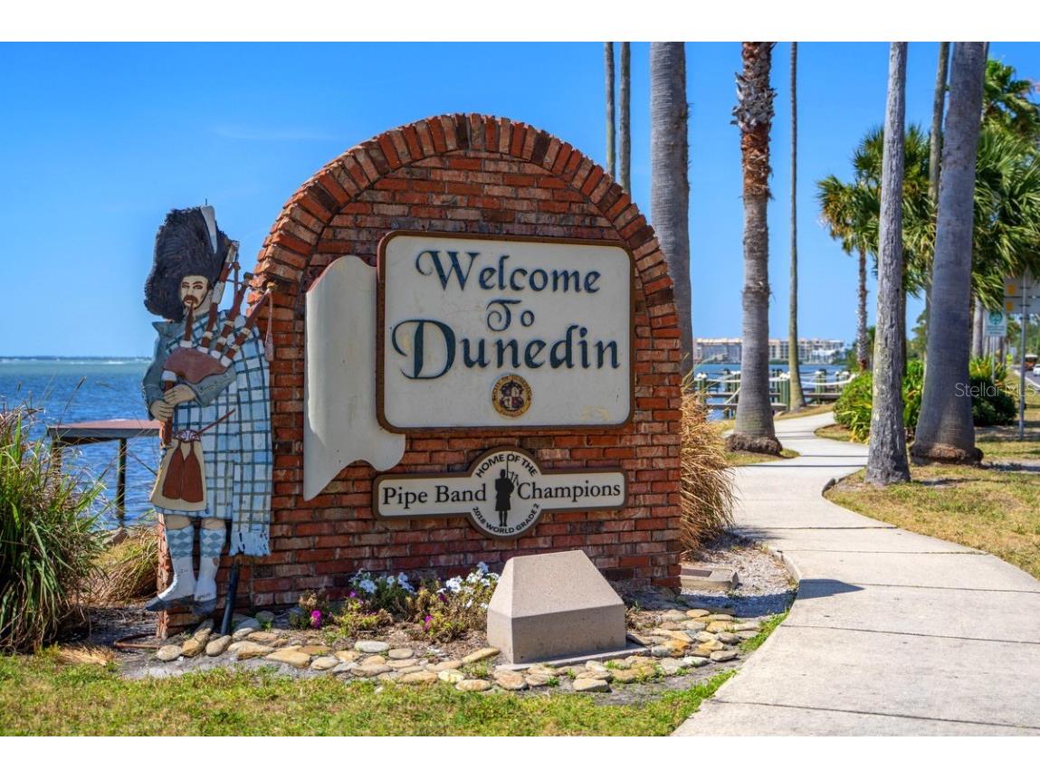 1393 Chesterfield Drive Dunedin FL 34698 - SCOTS LAKE TB8435868 image60