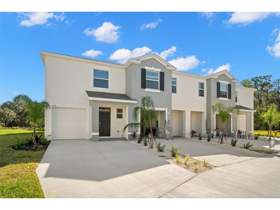 1393 Colt Creek Place Wesley Chapel FL 33543 T3490213 image1