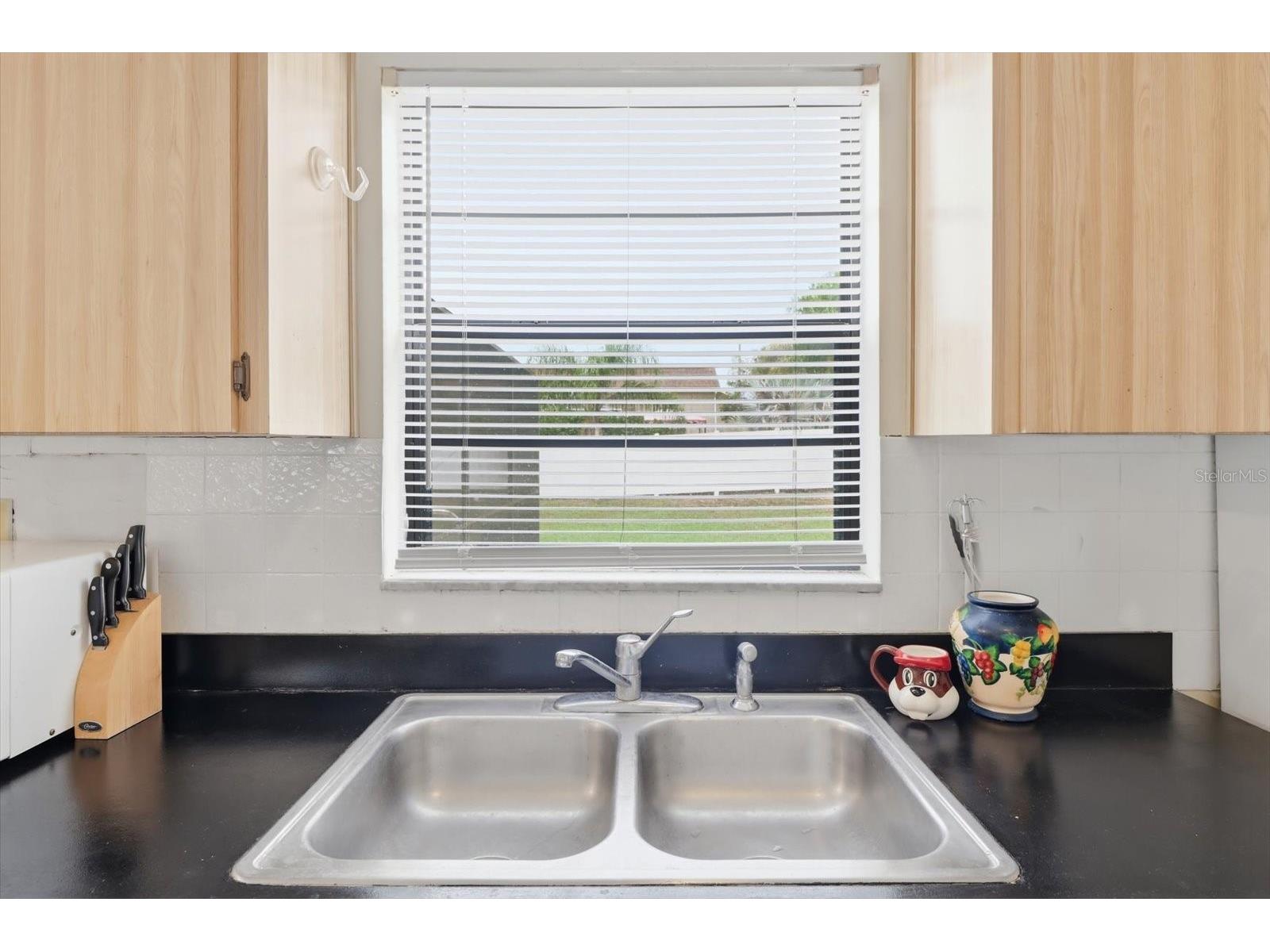 1393 Hathaway Avenue Spring Hill FL 34608 W7887436 image21