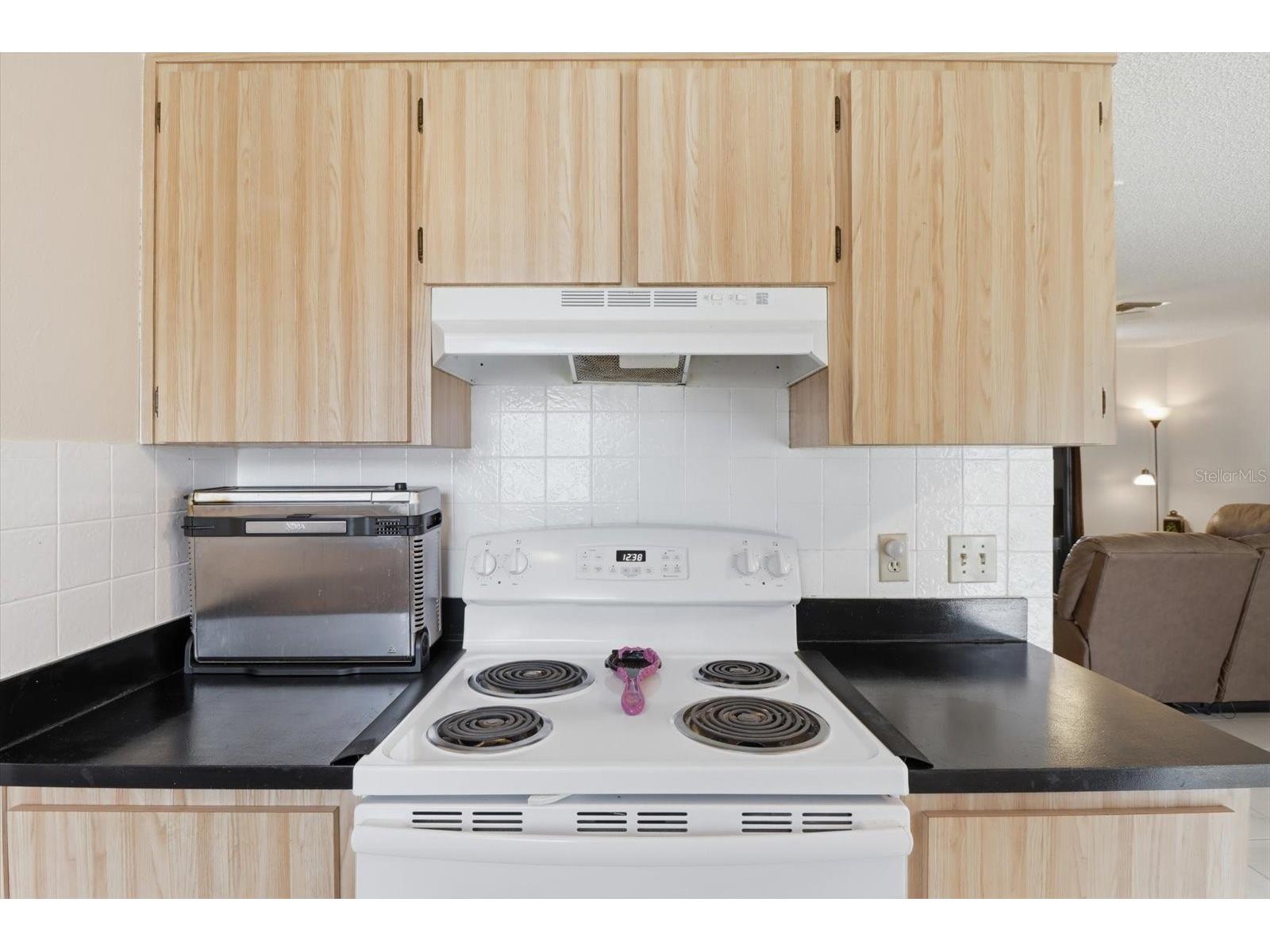 1393 Hathaway Avenue Spring Hill FL 34608 W7887436 image22