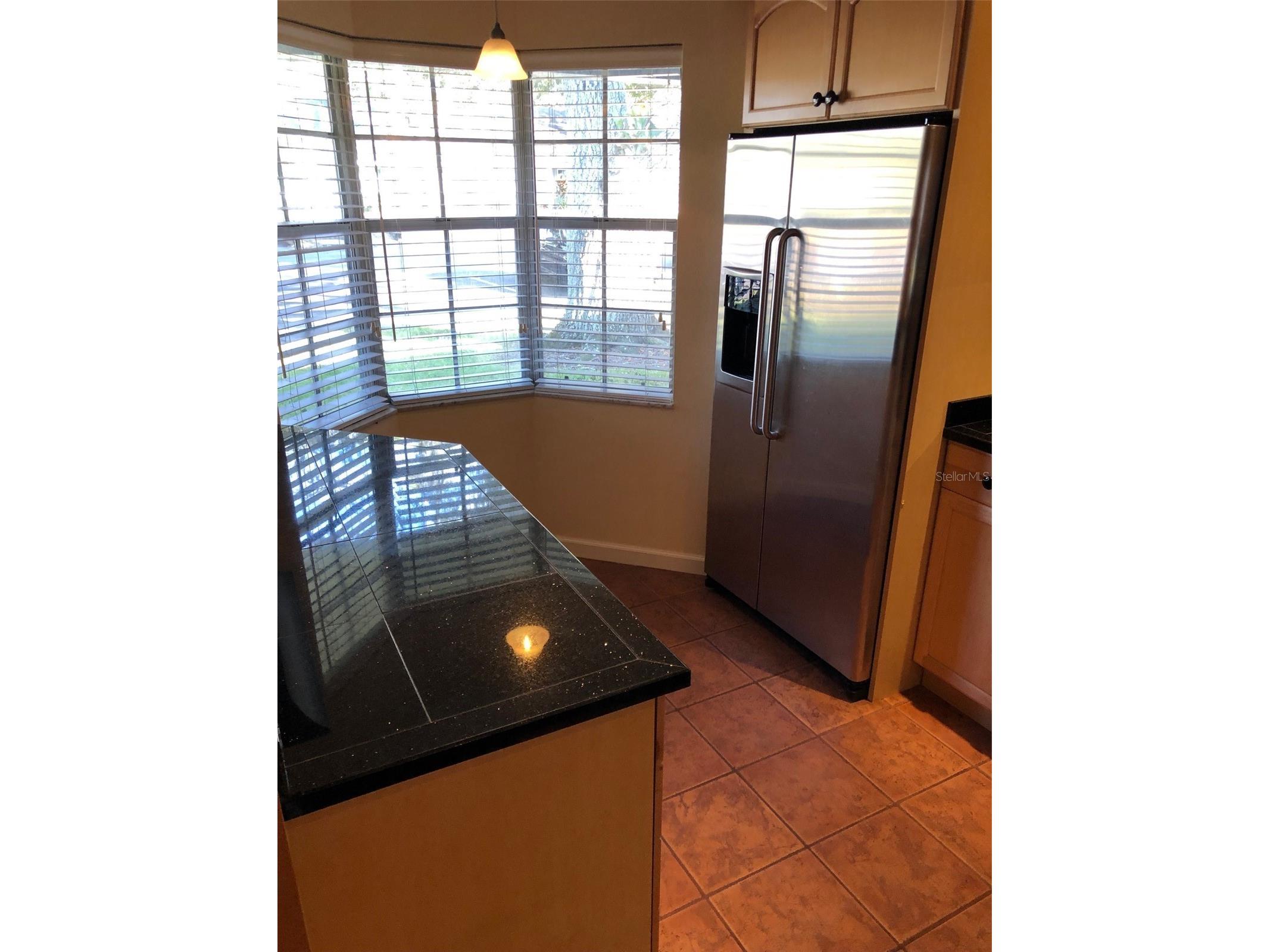 1393 Kittery Court Safety Harbor FL 34695 TB8486621 image10