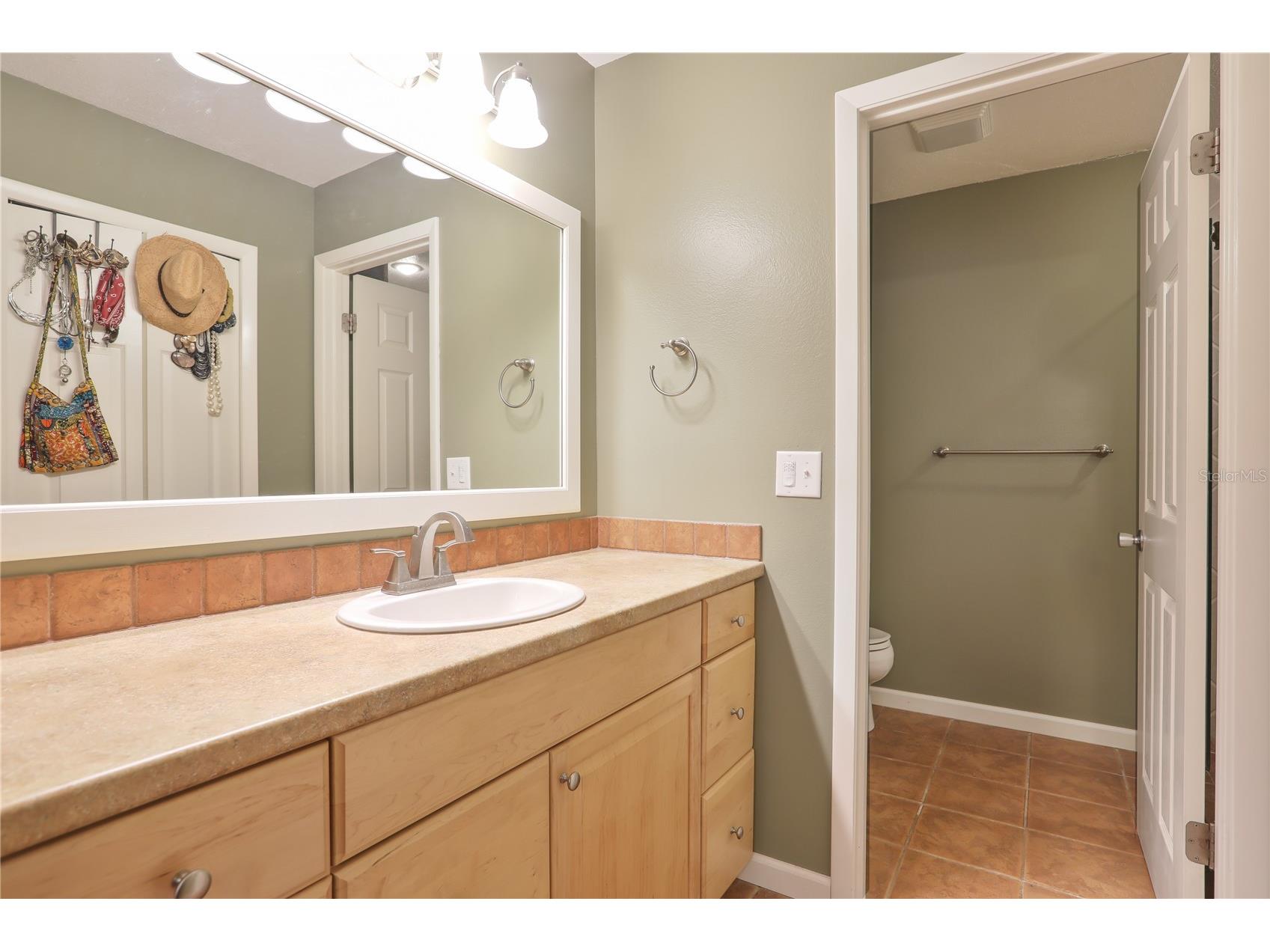 1393 Kittery Court Safety Harbor FL 34695 TB8486621 image11