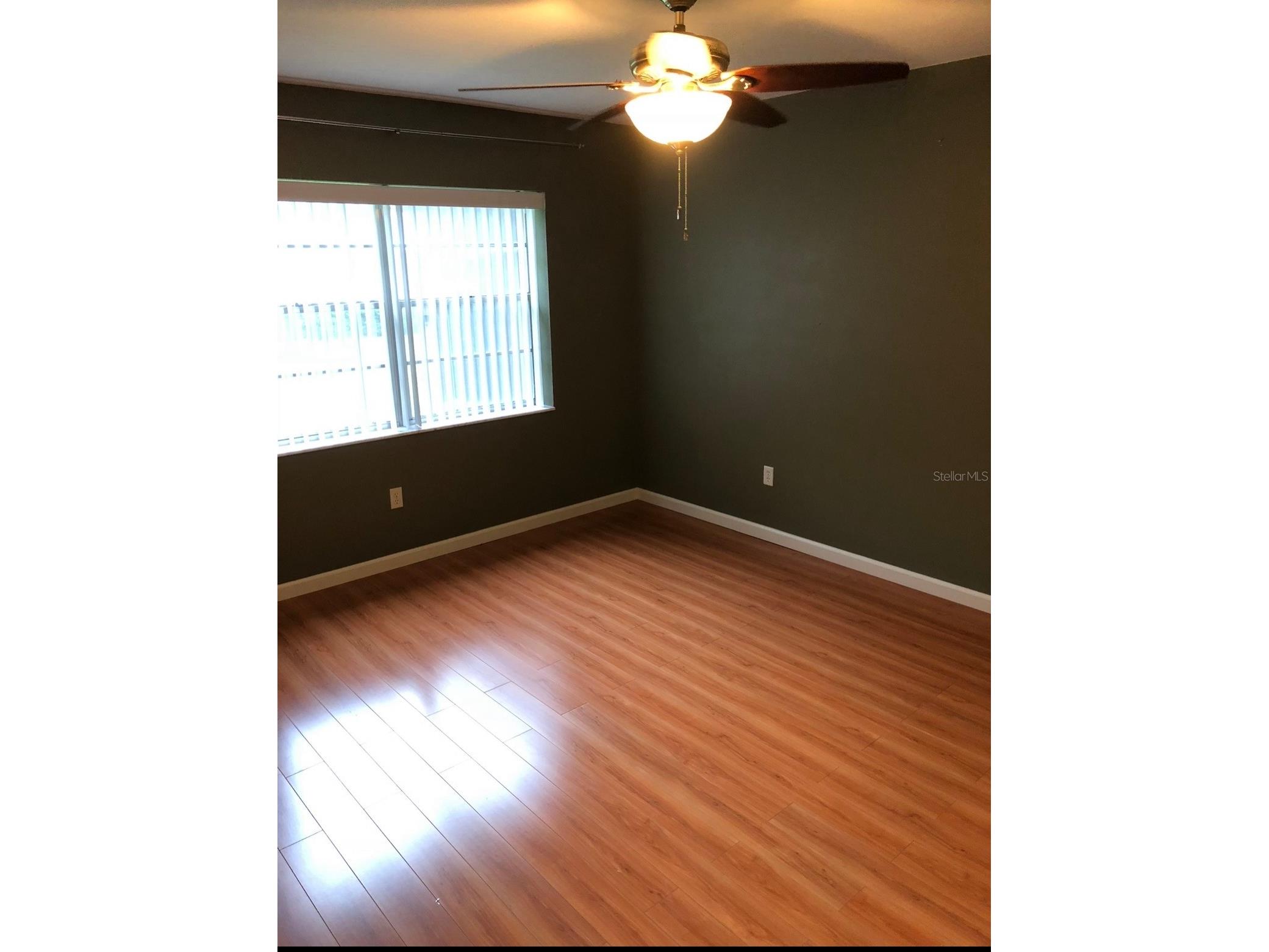 1393 Kittery Court Safety Harbor FL 34695 TB8486621 image14