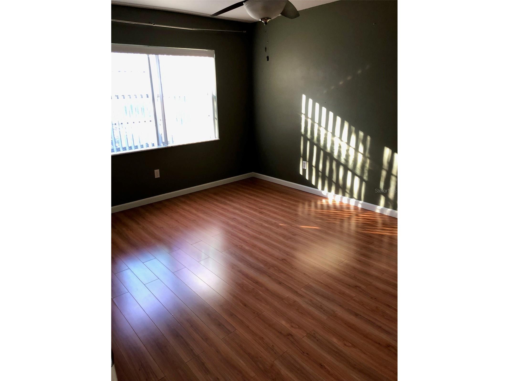 1393 Kittery Court Safety Harbor FL 34695 TB8486621 image17