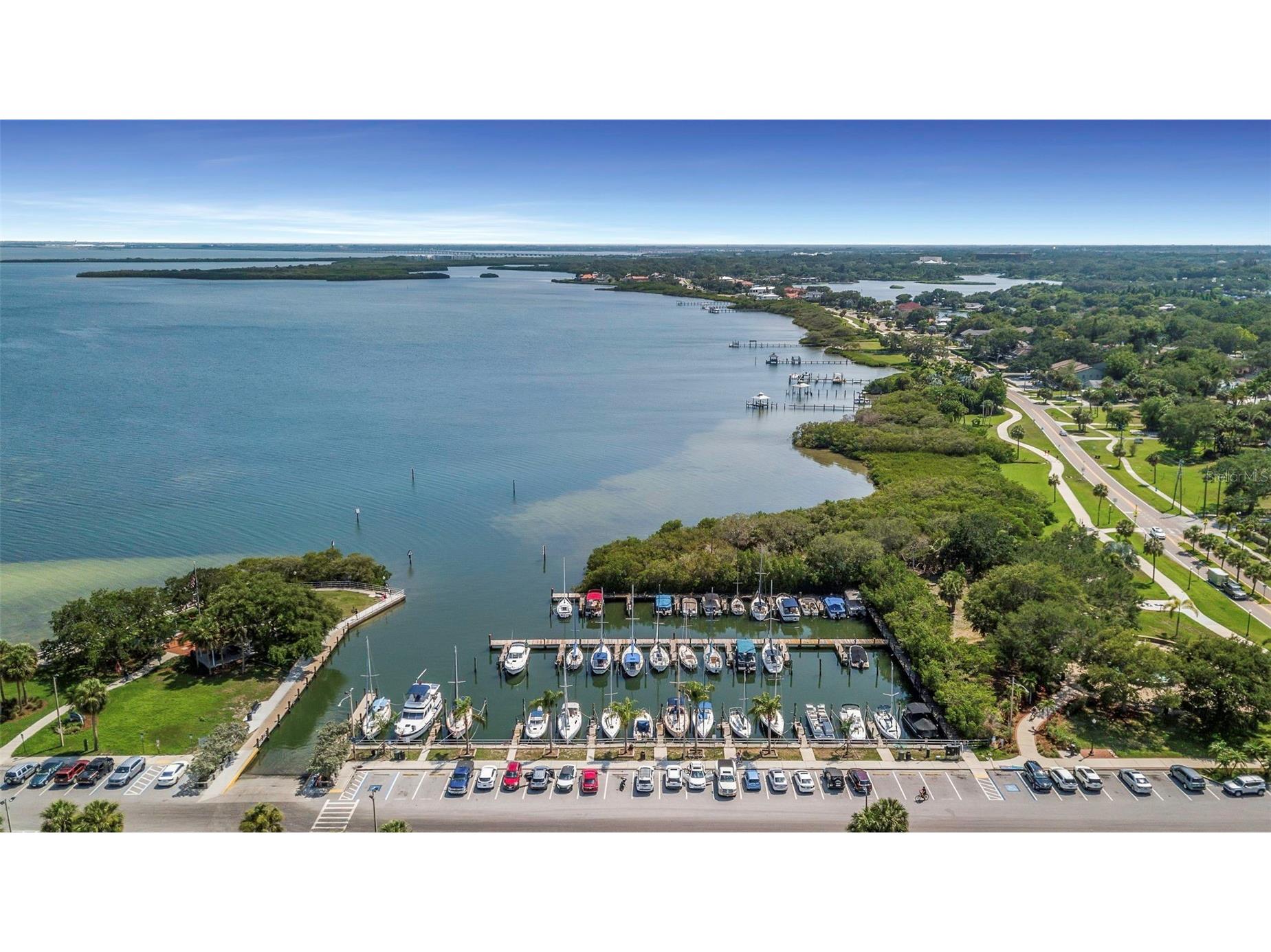 1393 Kittery Court Safety Harbor FL 34695 TB8486621 image23