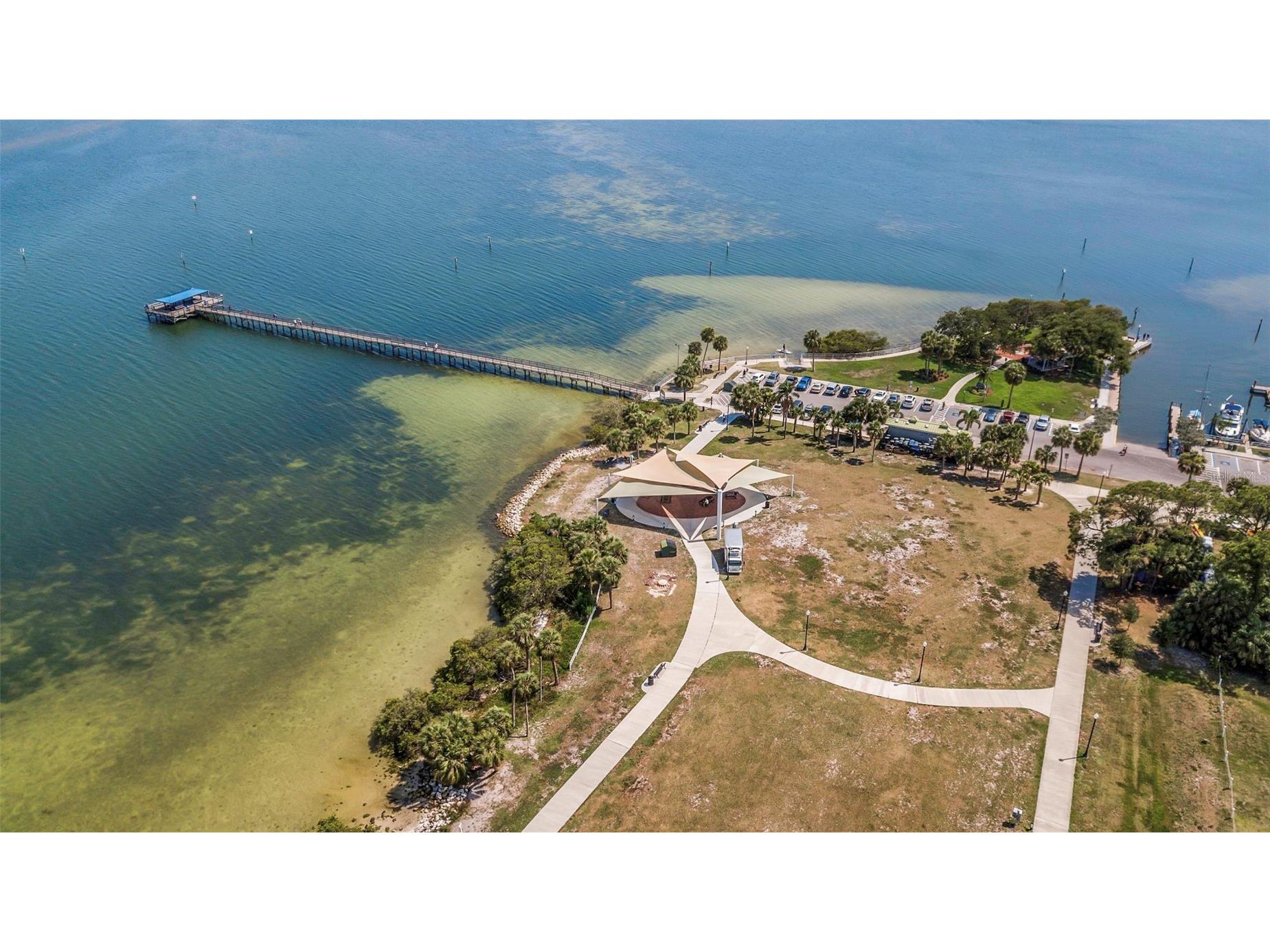 1393 Kittery Court Safety Harbor FL 34695 TB8486621 image24