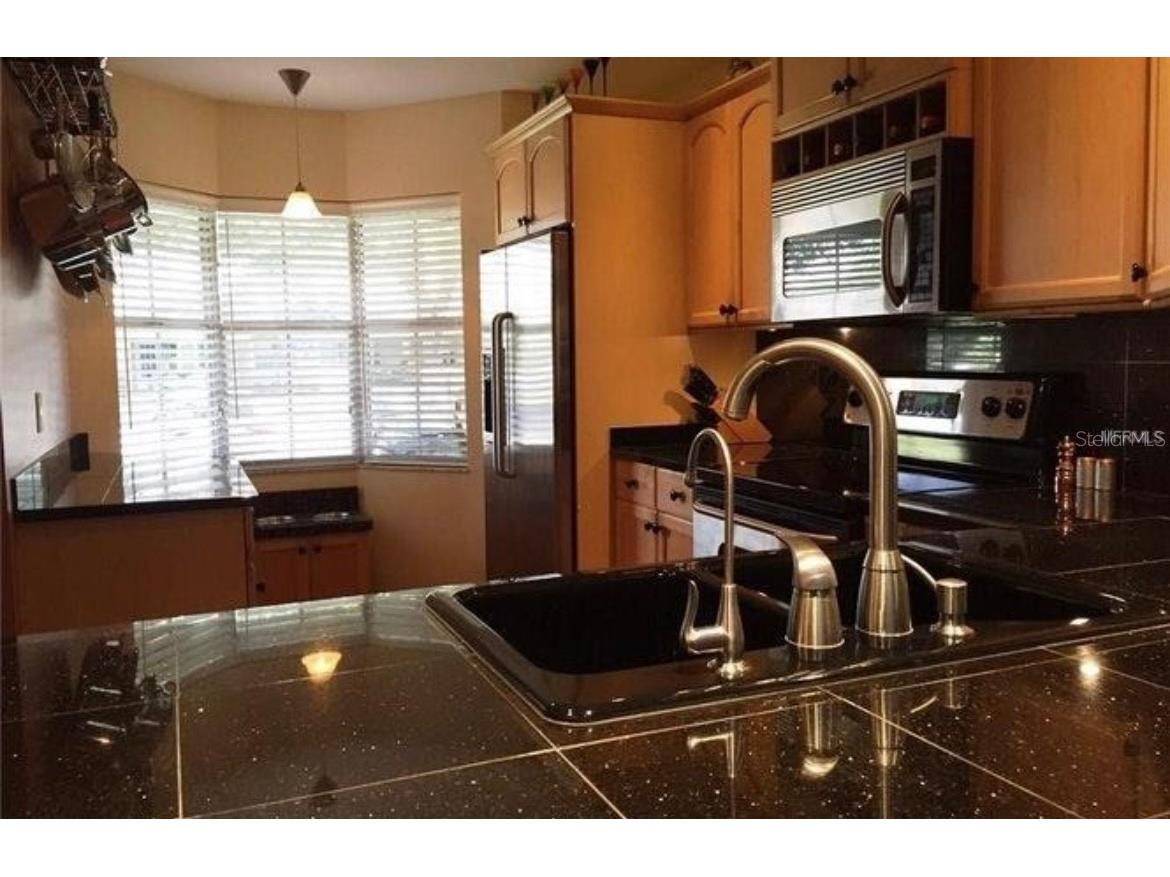 1393 Kittery Court Safety Harbor FL 34695 TB8486621 image6