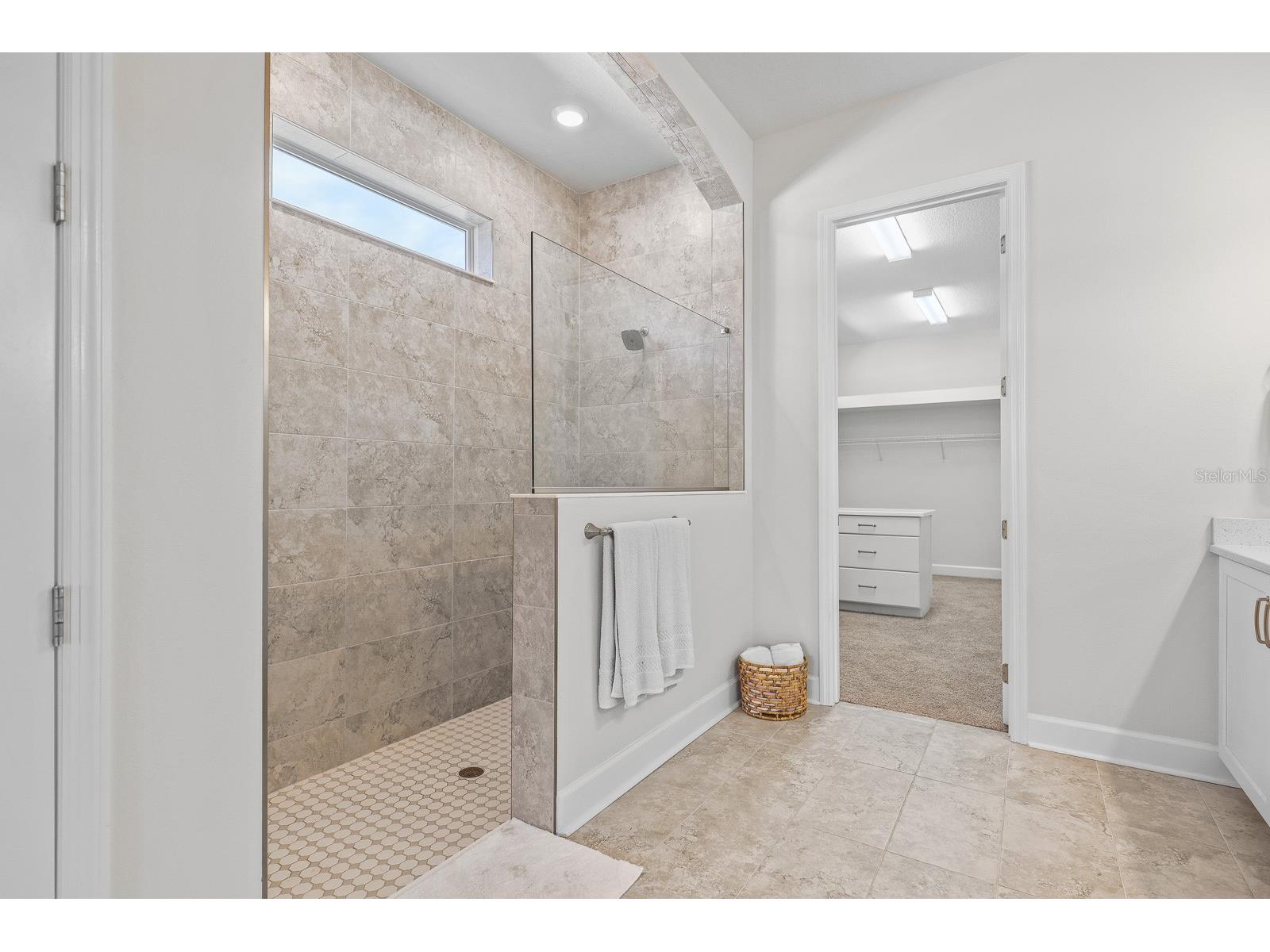 13930 Natures Reserve Drive Lithia FL 33547 TB8497459 image17