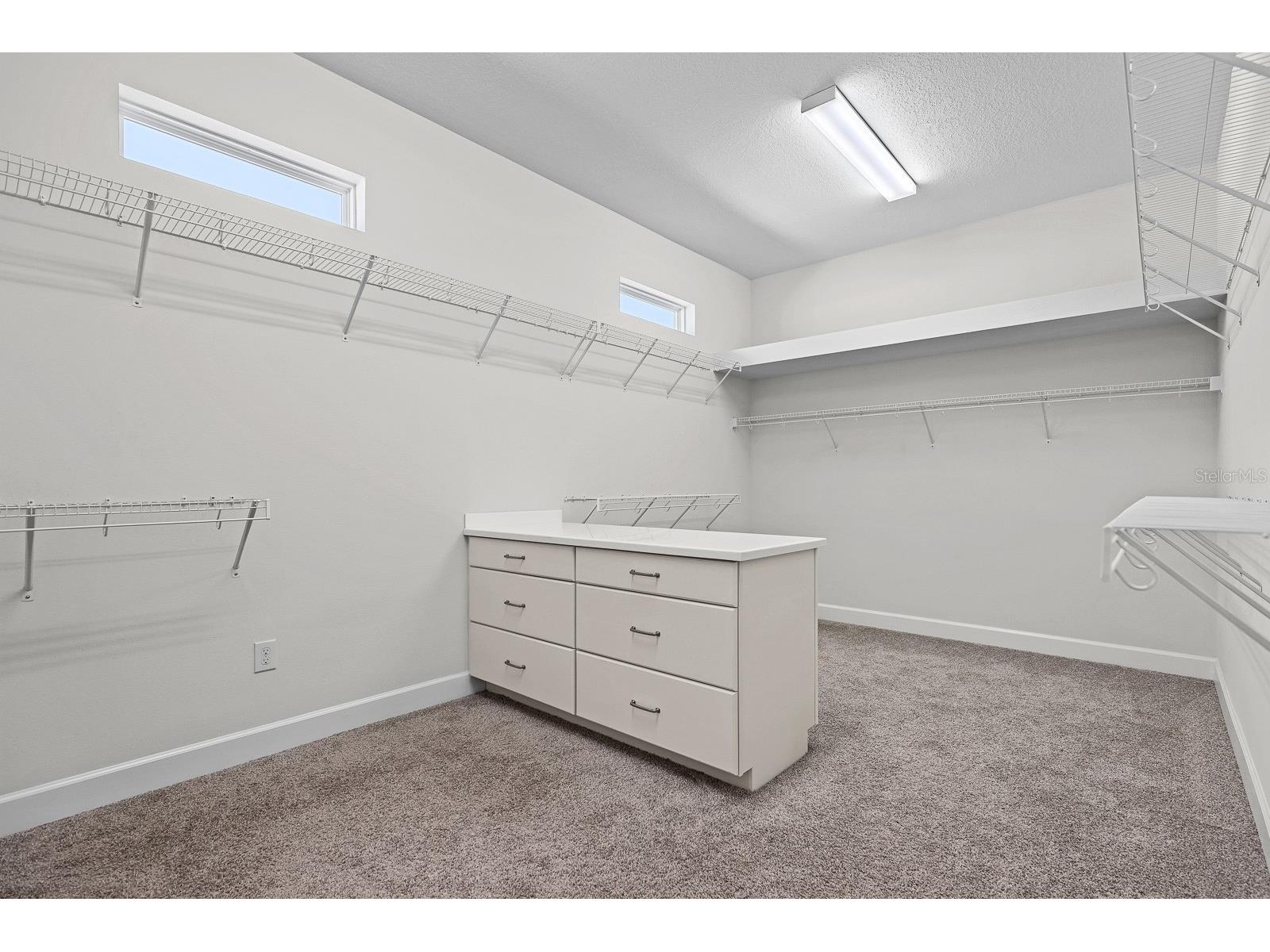 13930 Natures Reserve Drive Lithia FL 33547 TB8497459 image19