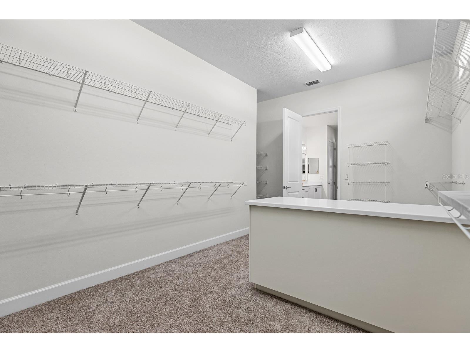 13930 Natures Reserve Drive Lithia FL 33547 TB8497459 image20